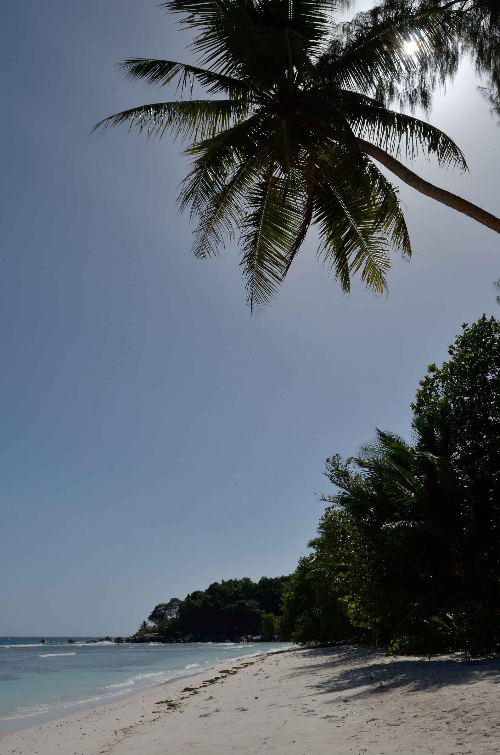 La Digue - Palma ad Anse Severe
