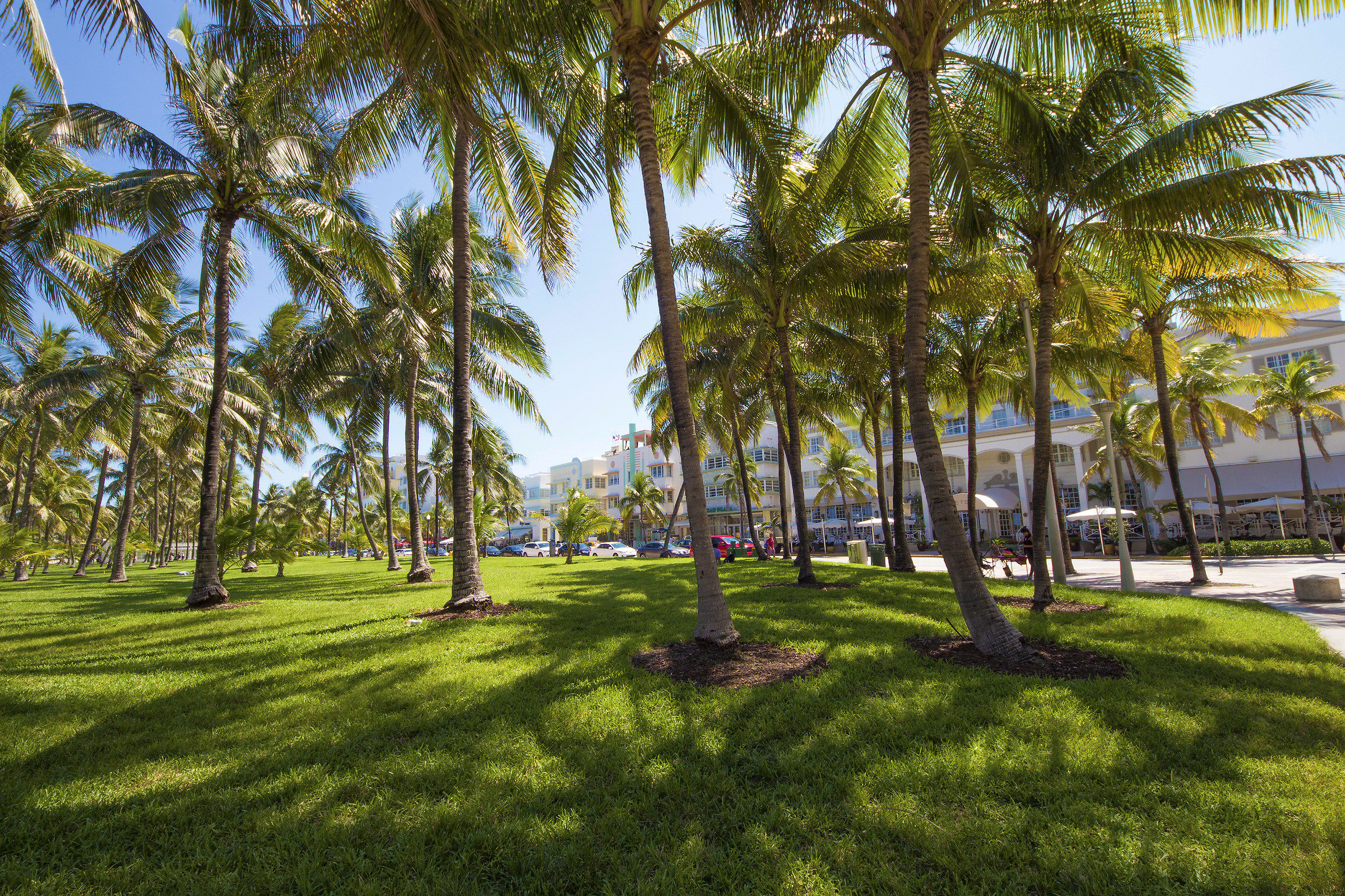 Ocean Drive Miami Beach