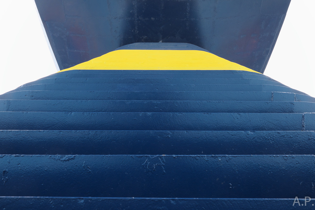 "Scale" for the holidays