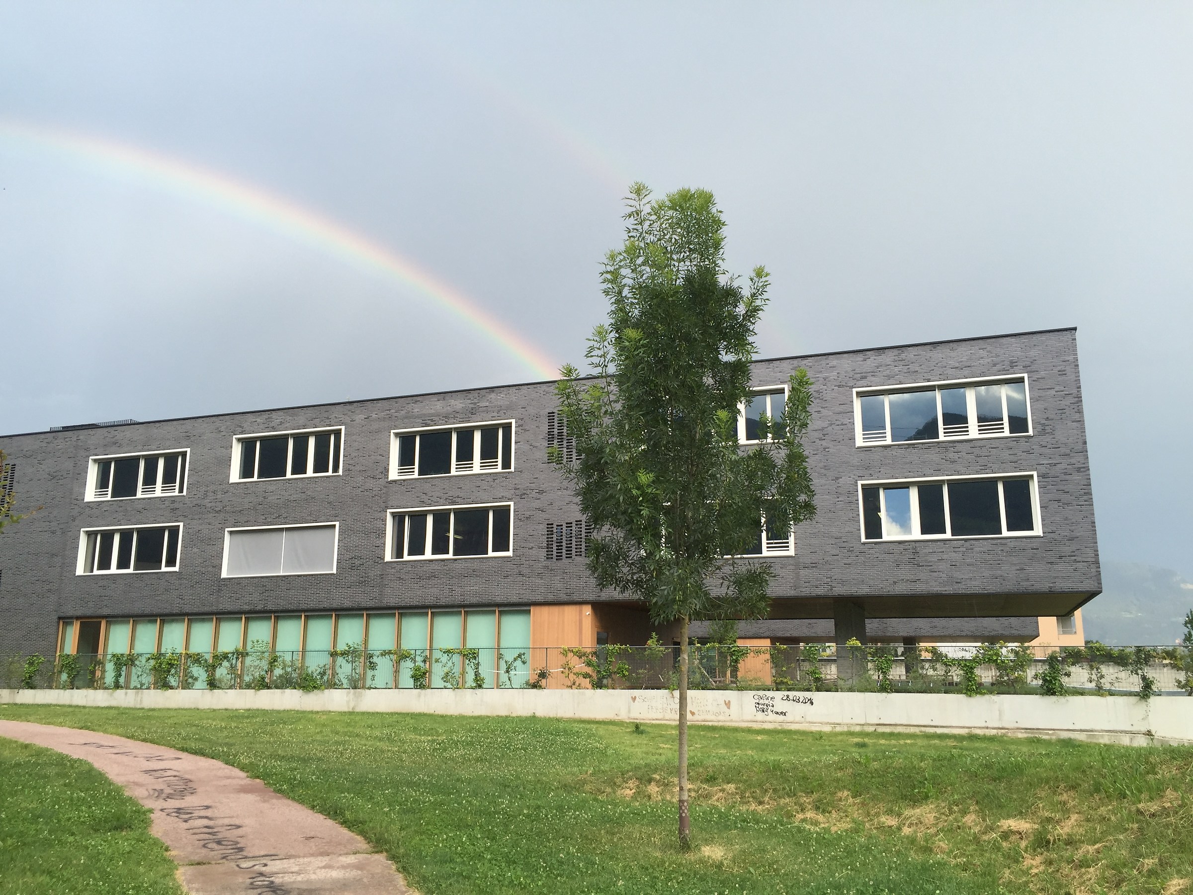 It would be nice to go back to school or not?