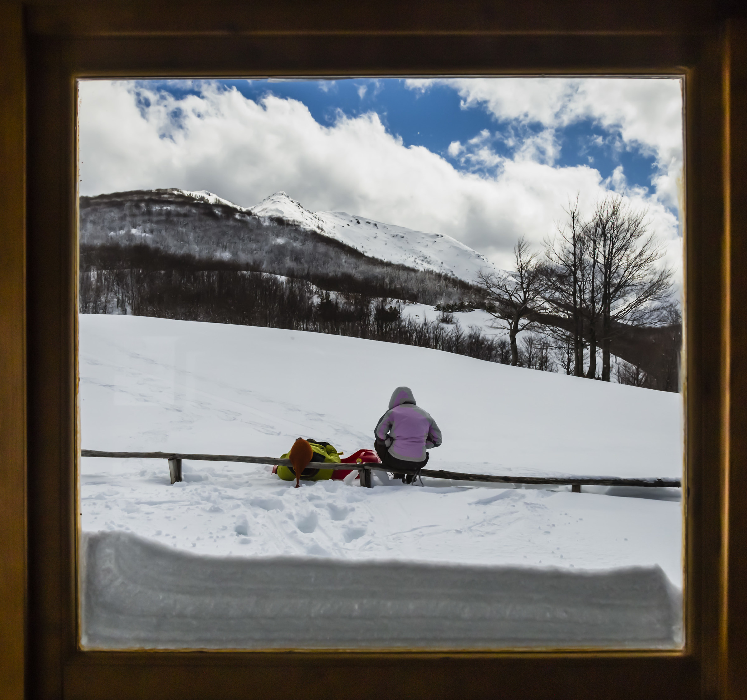 Uno sguardo fuori dalla finestra