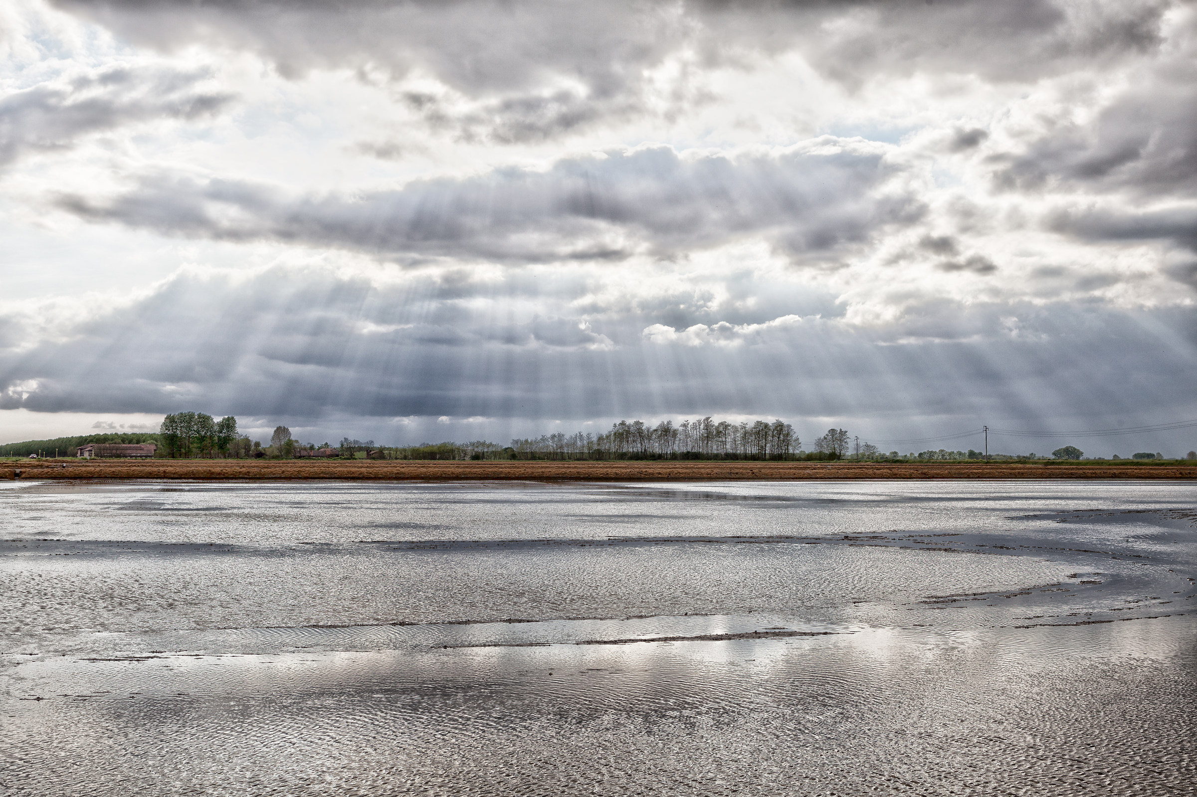 Sunbeams in Lomellina