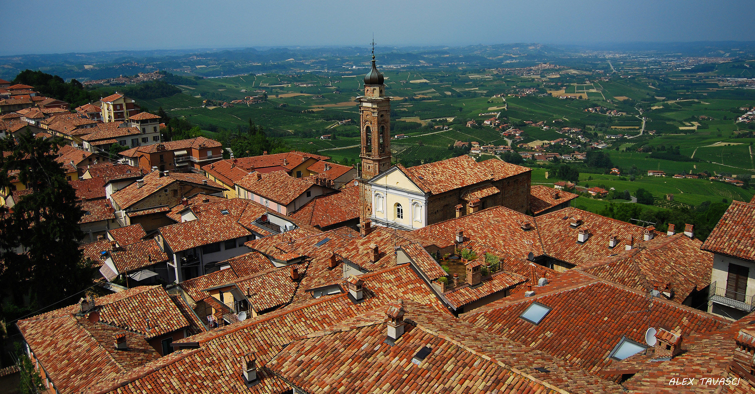 Nei dintorni di Barolo.