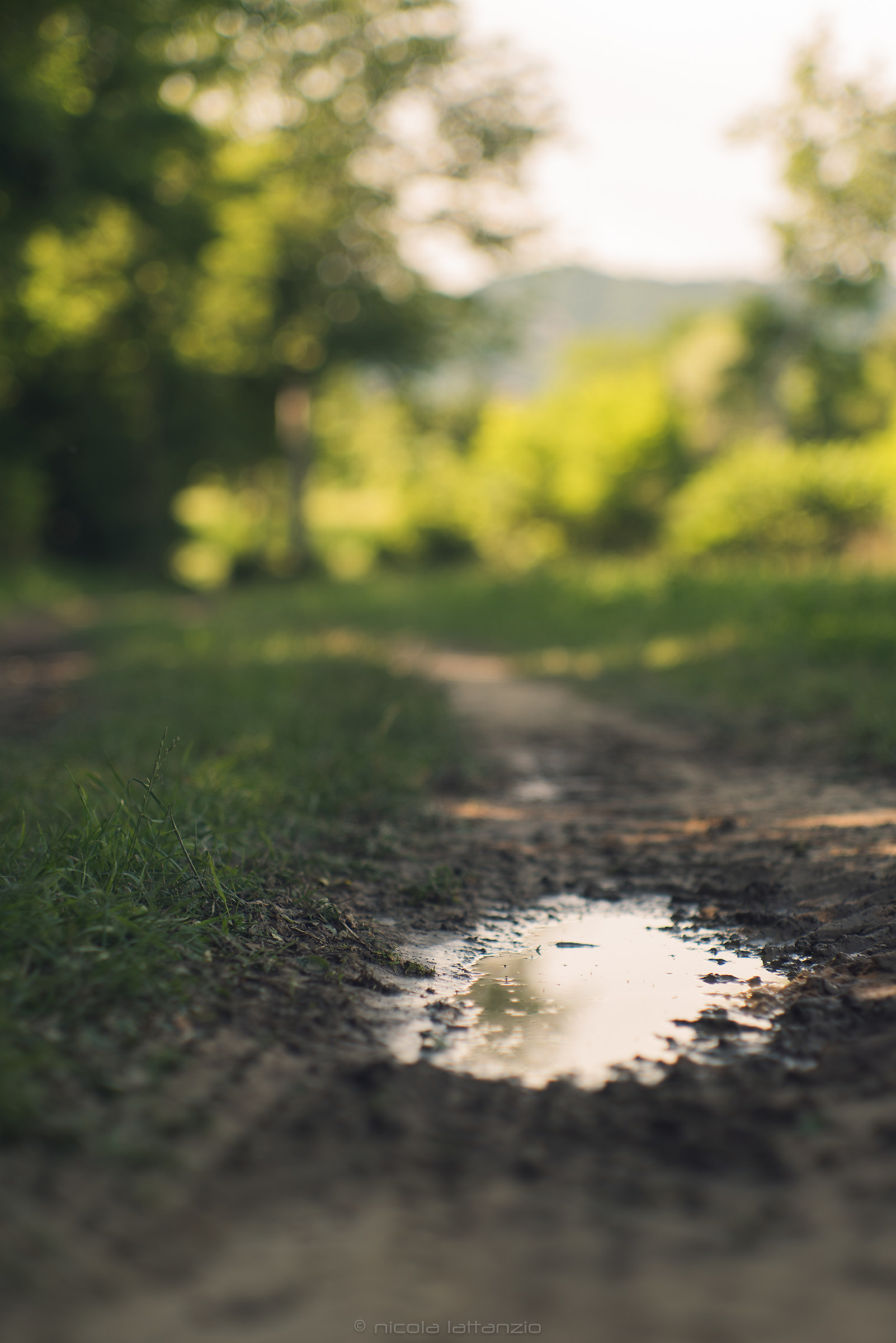 Passeggiate domenicali