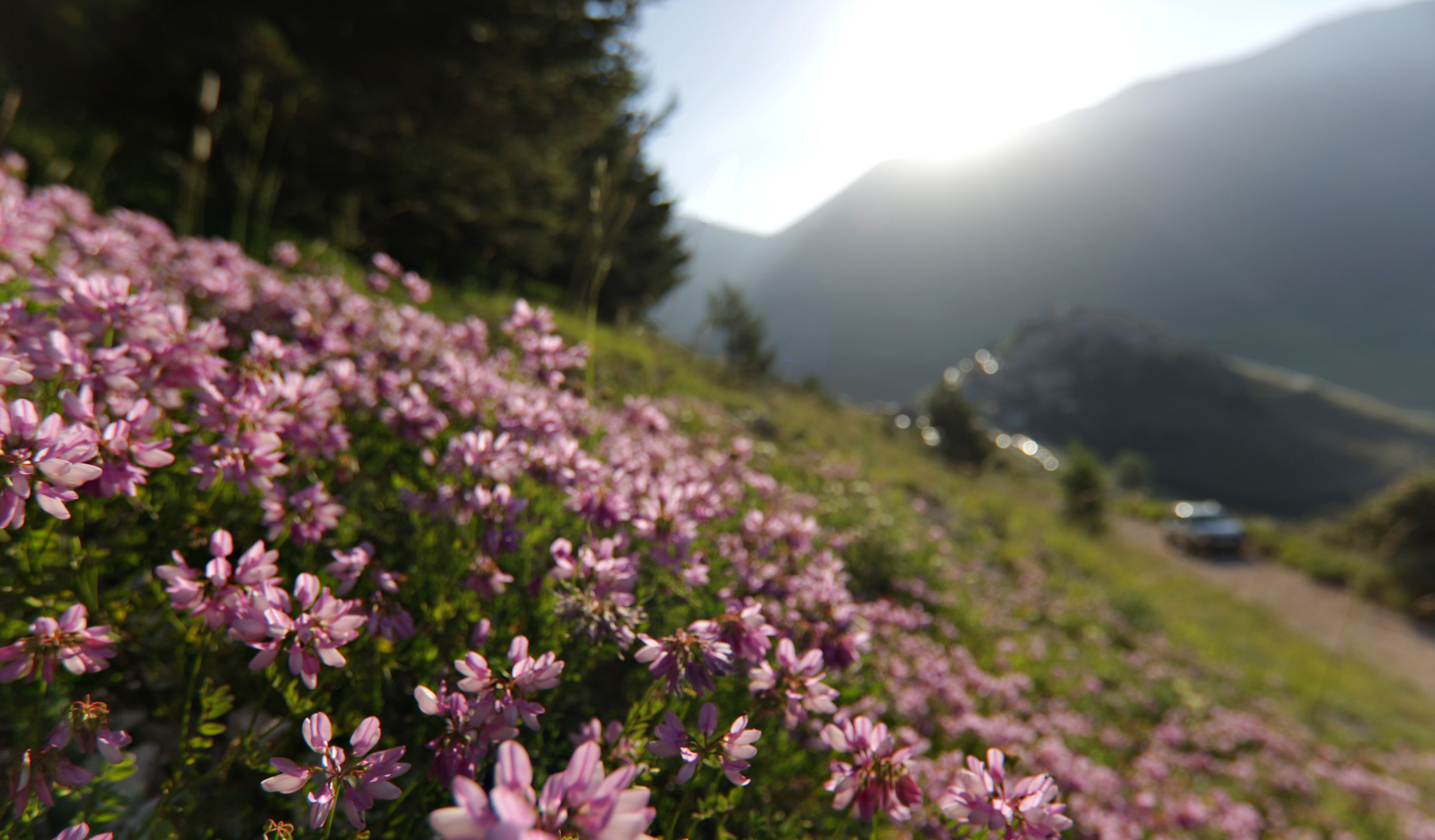 Alba su Castelluccio