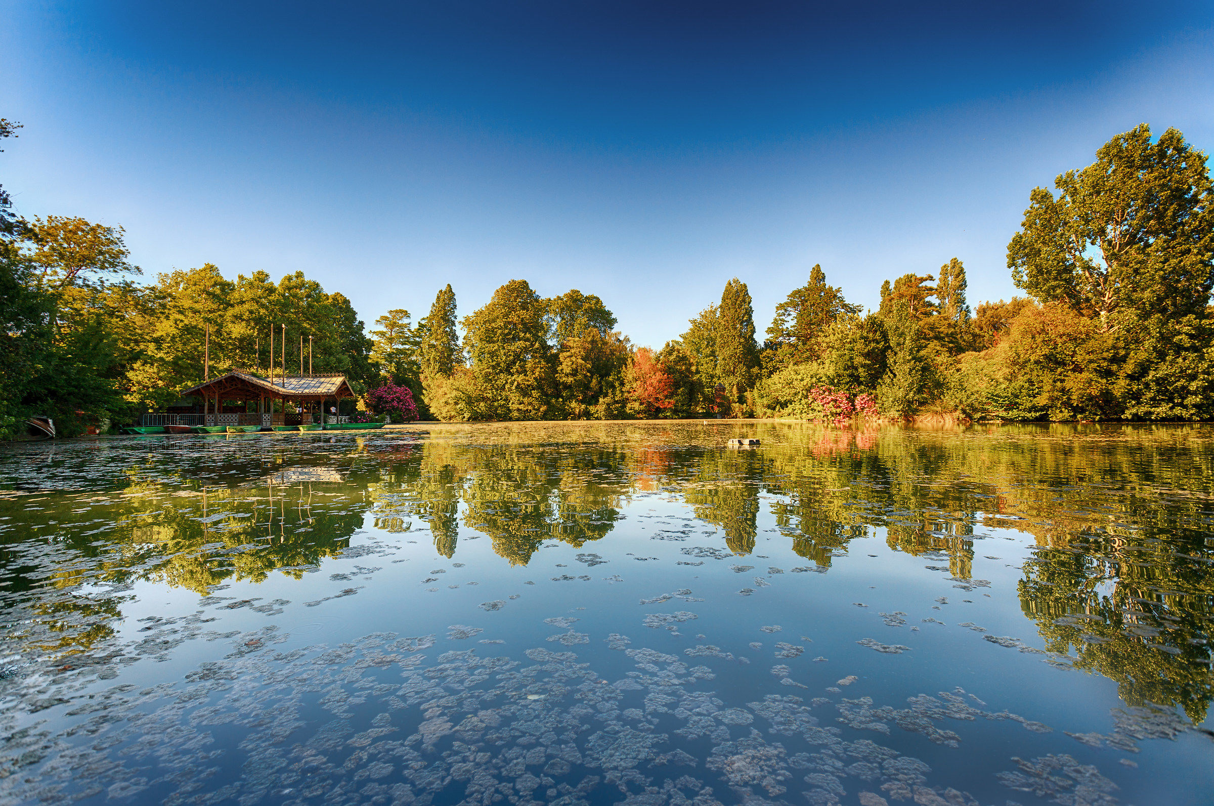 The beautiful Parc Borély Marseille