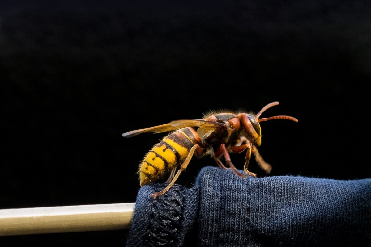 in movimento.....................