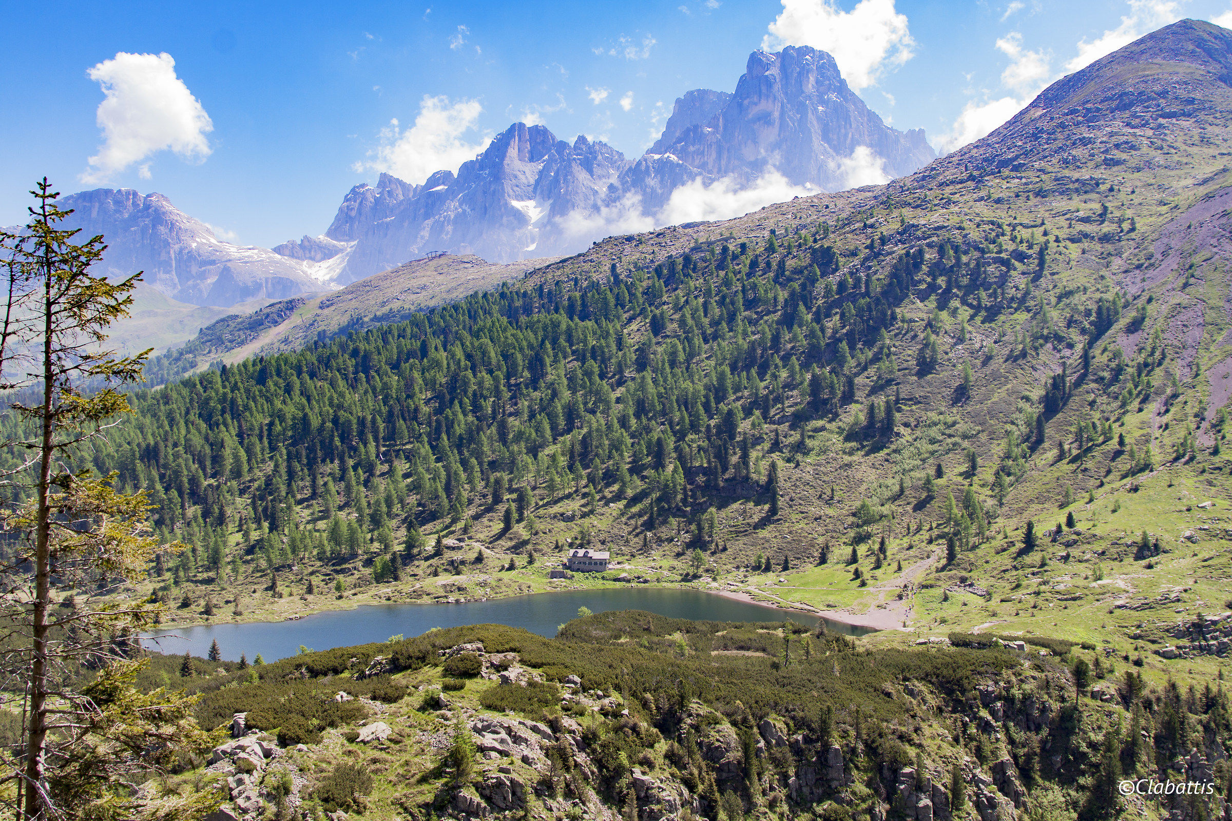 blades of San Martino