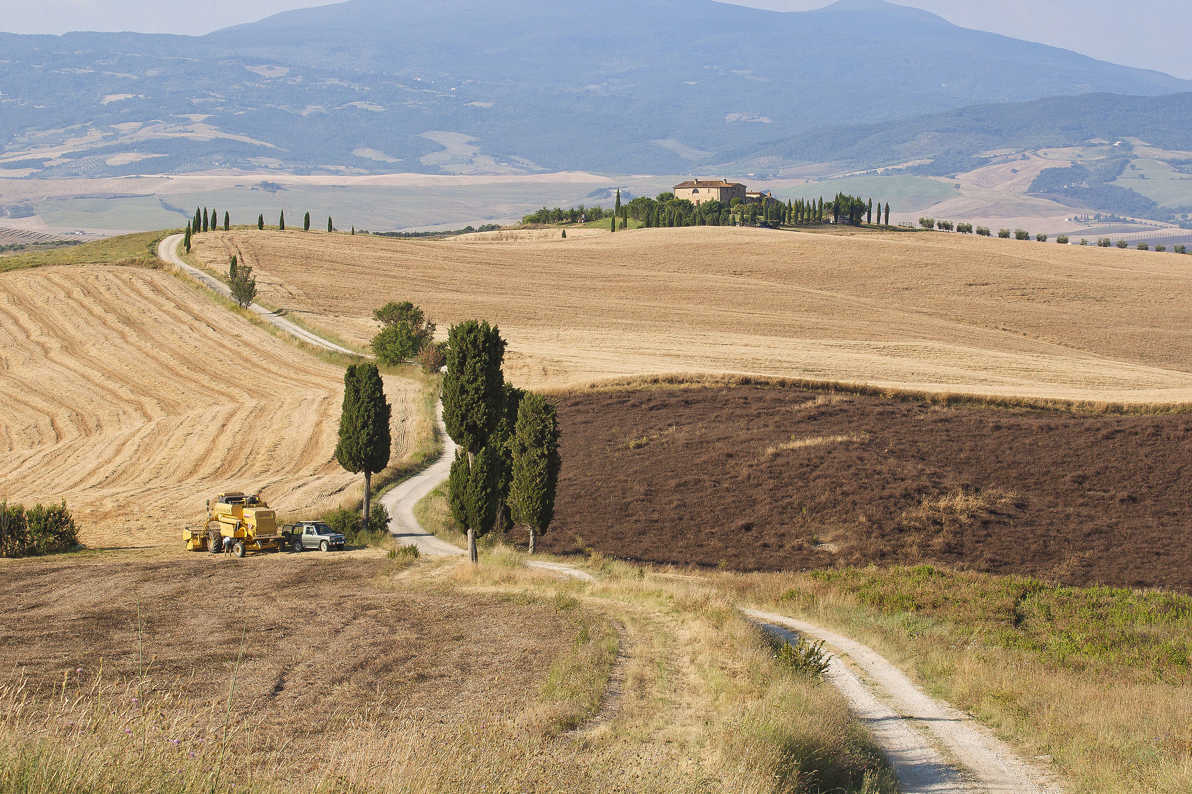 Terrapille .... the path of the Gladiator