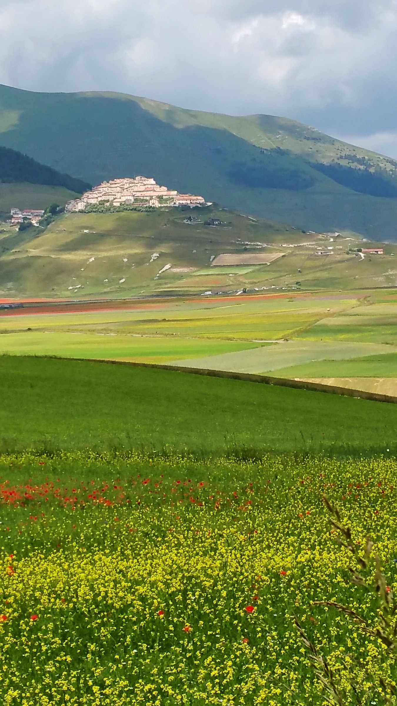 Nello sfondo........Castelluccio.