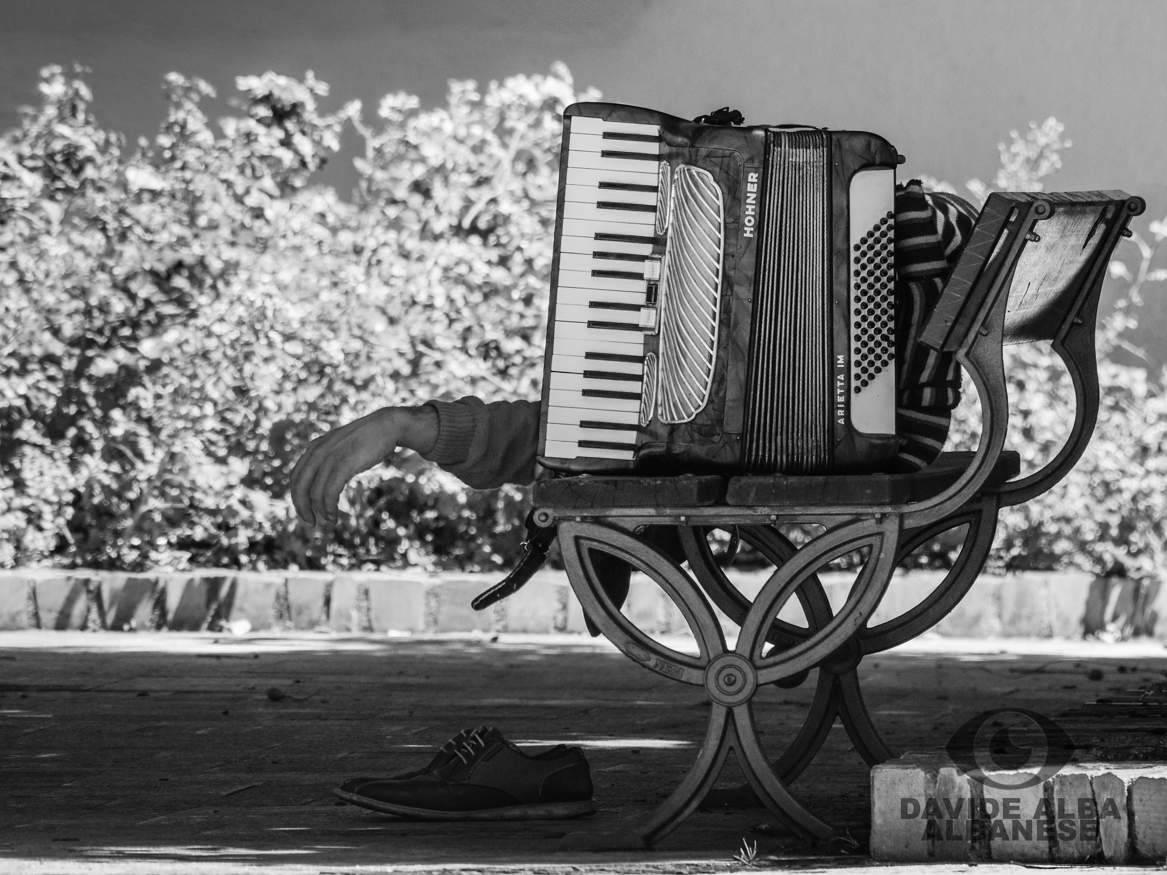 Il Riposo del Musicante