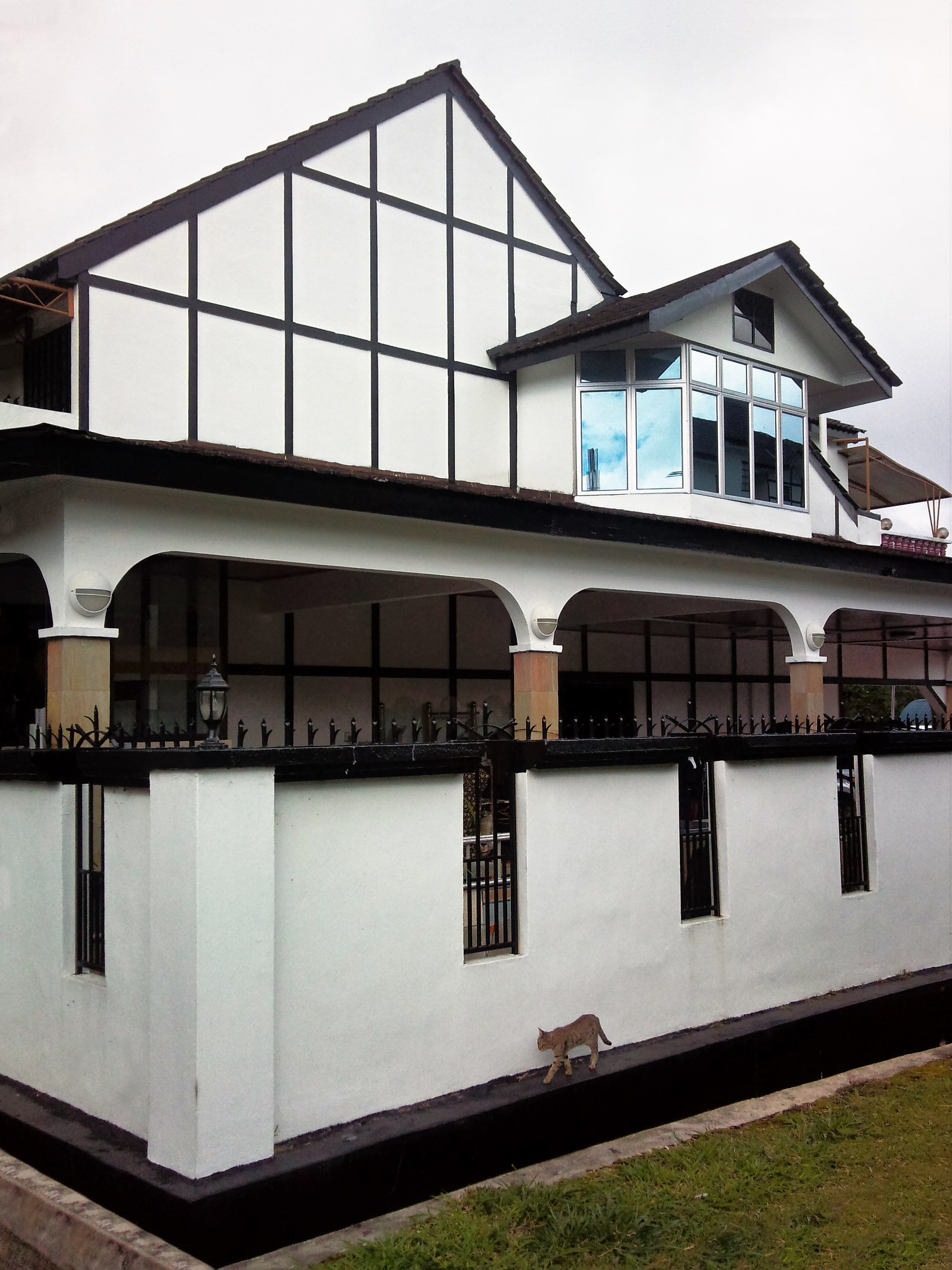 Di soppiatto arriva il gatto...