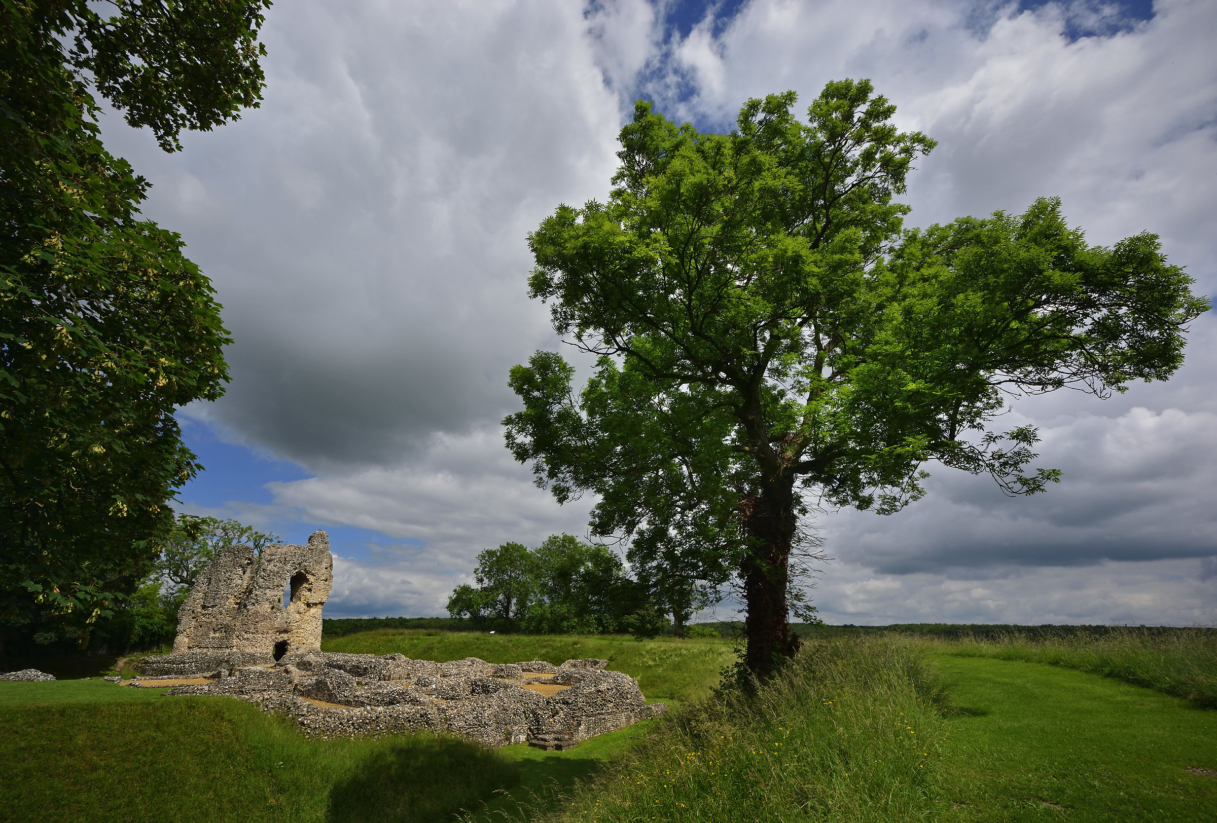 Ludgershall Castle in late June