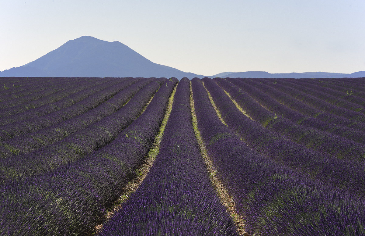 Provence