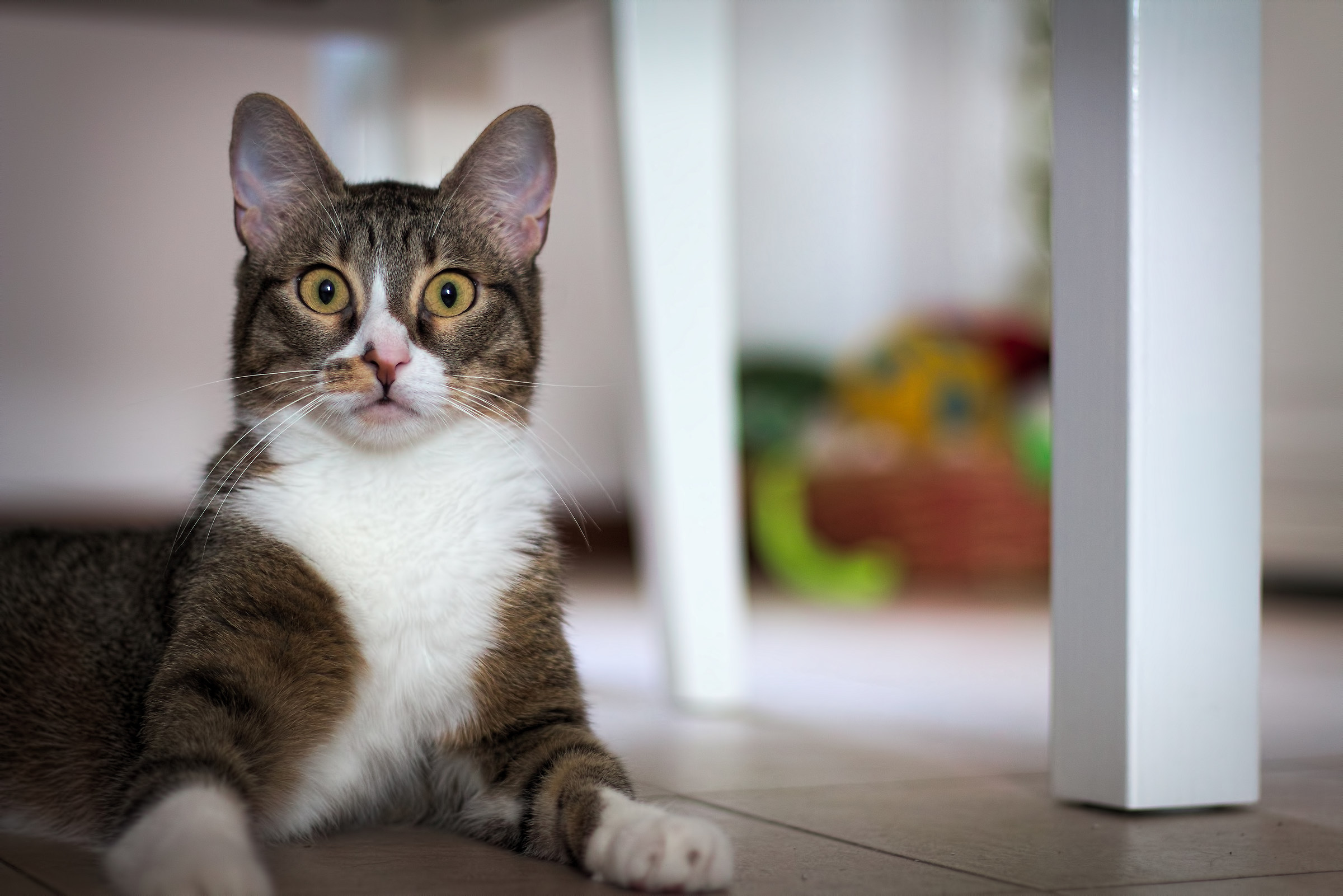 Friend, are you talking to me?