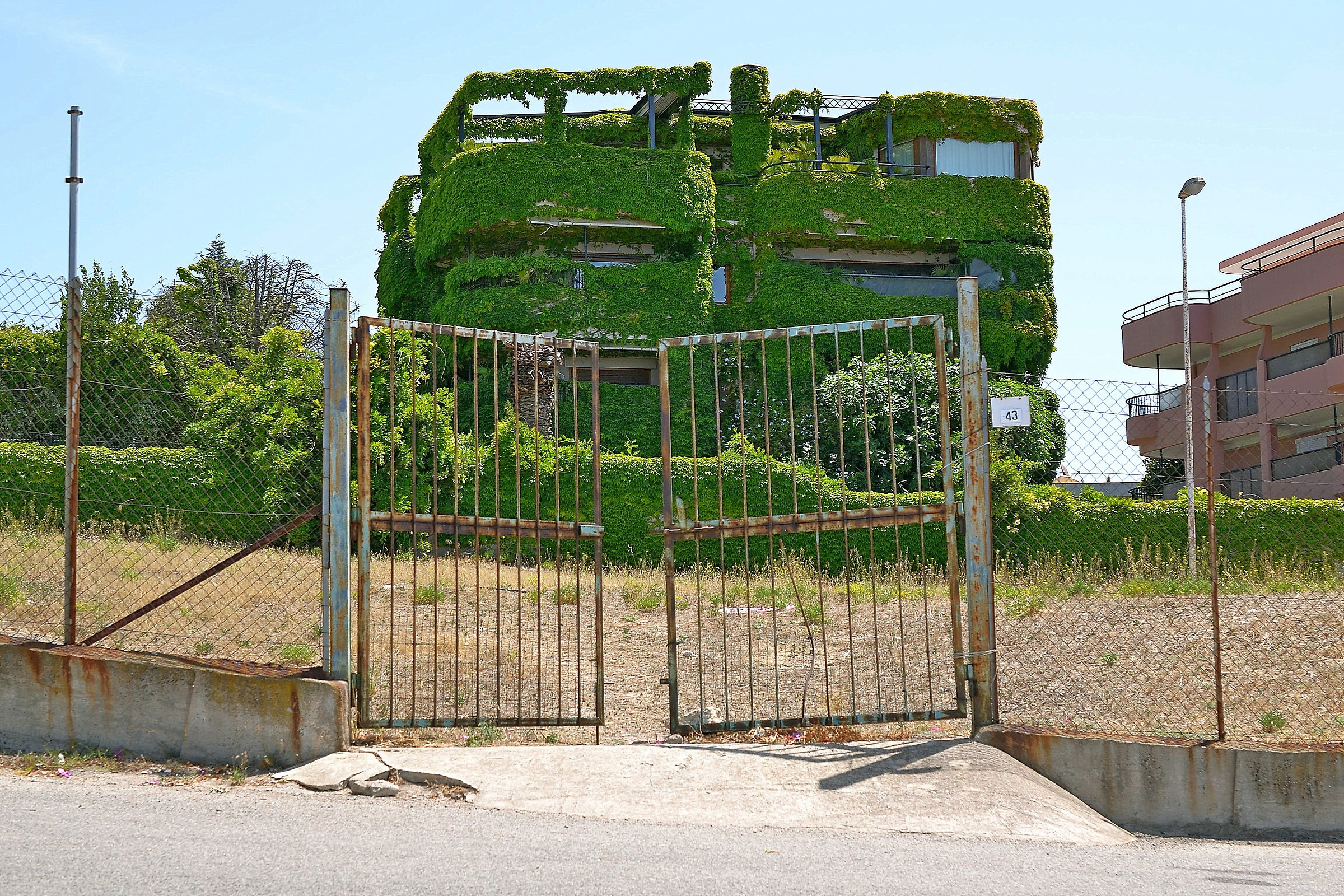 Quando l'uomo ragiona in verde
