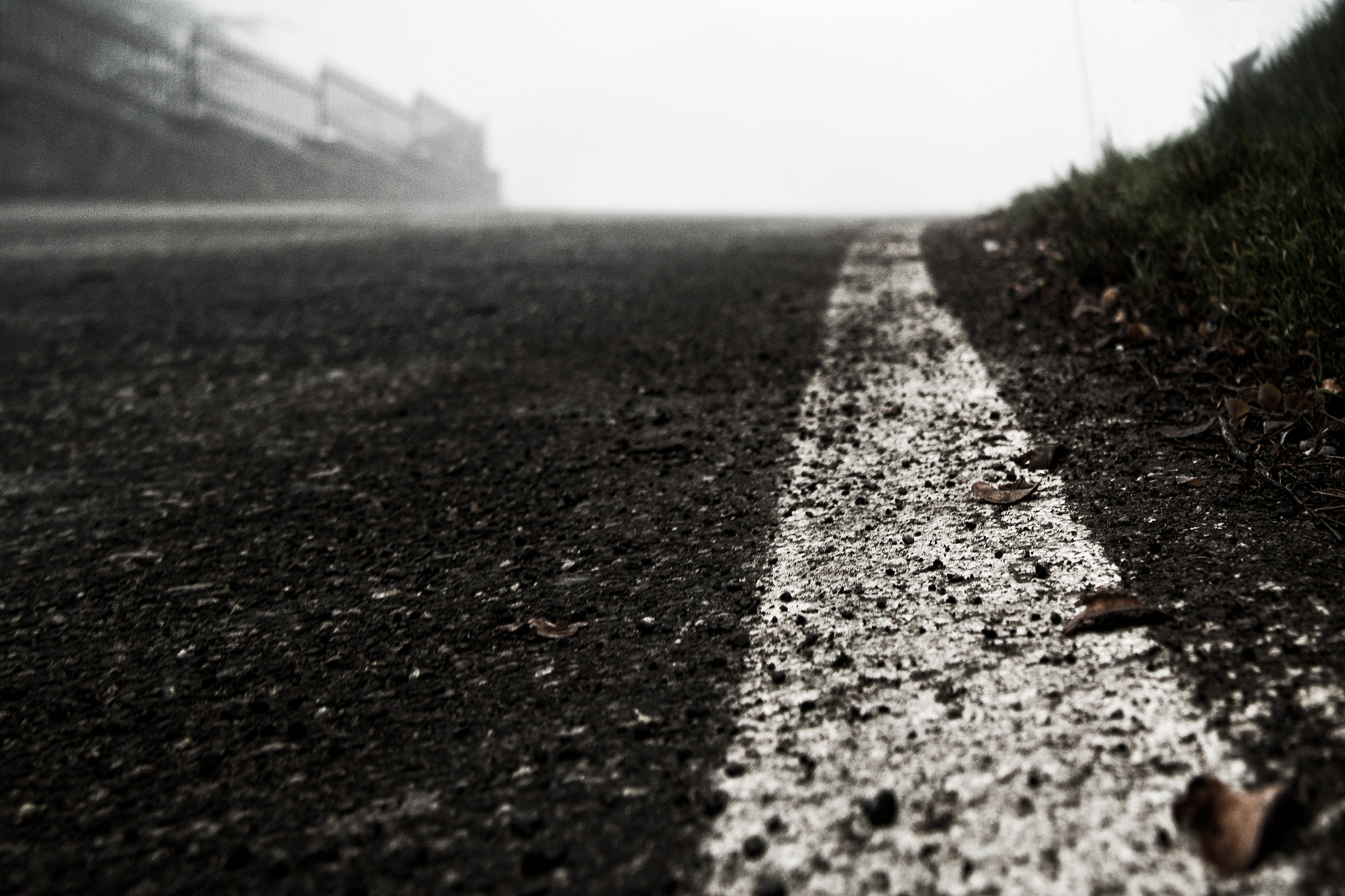 Se fossi una formica