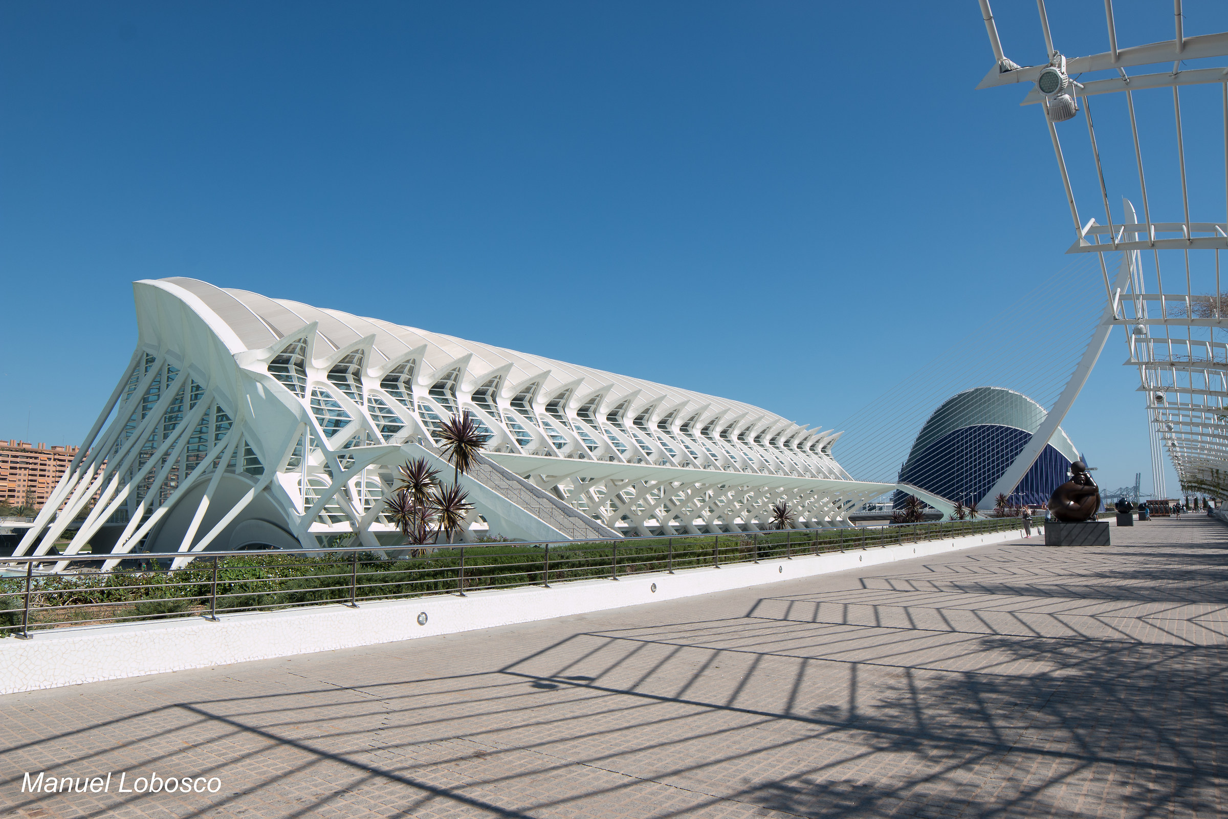 Ciudad de la cienca and Agora