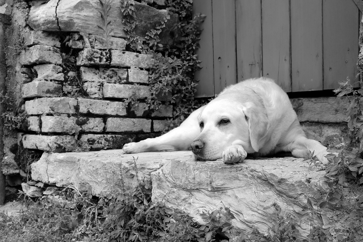 La principessa Kaila