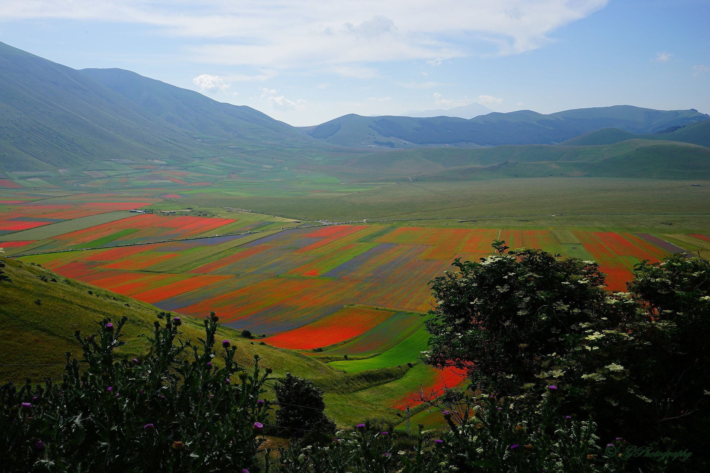Castellucciomania - Fiorita 2016