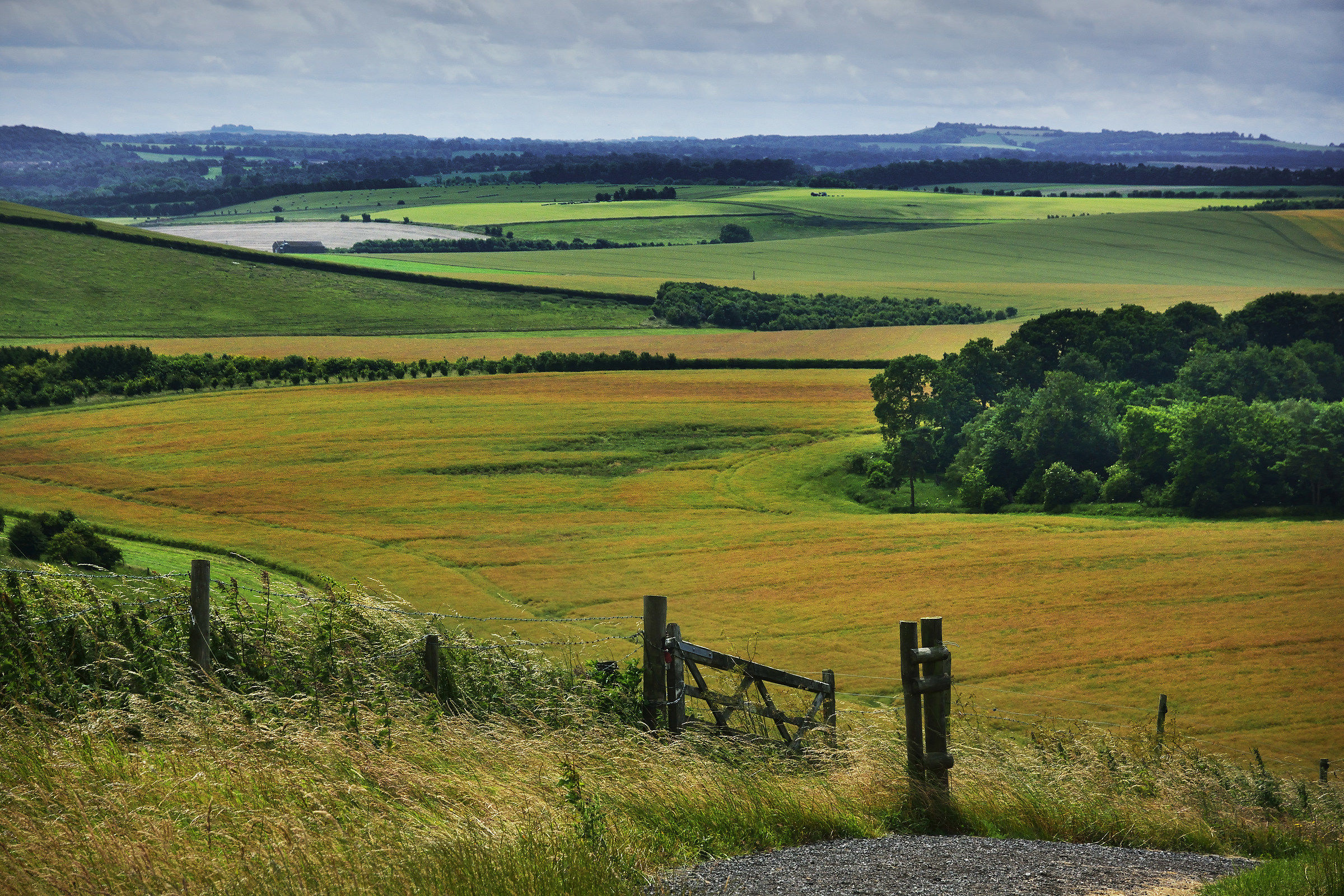 A View from the Ridgeway