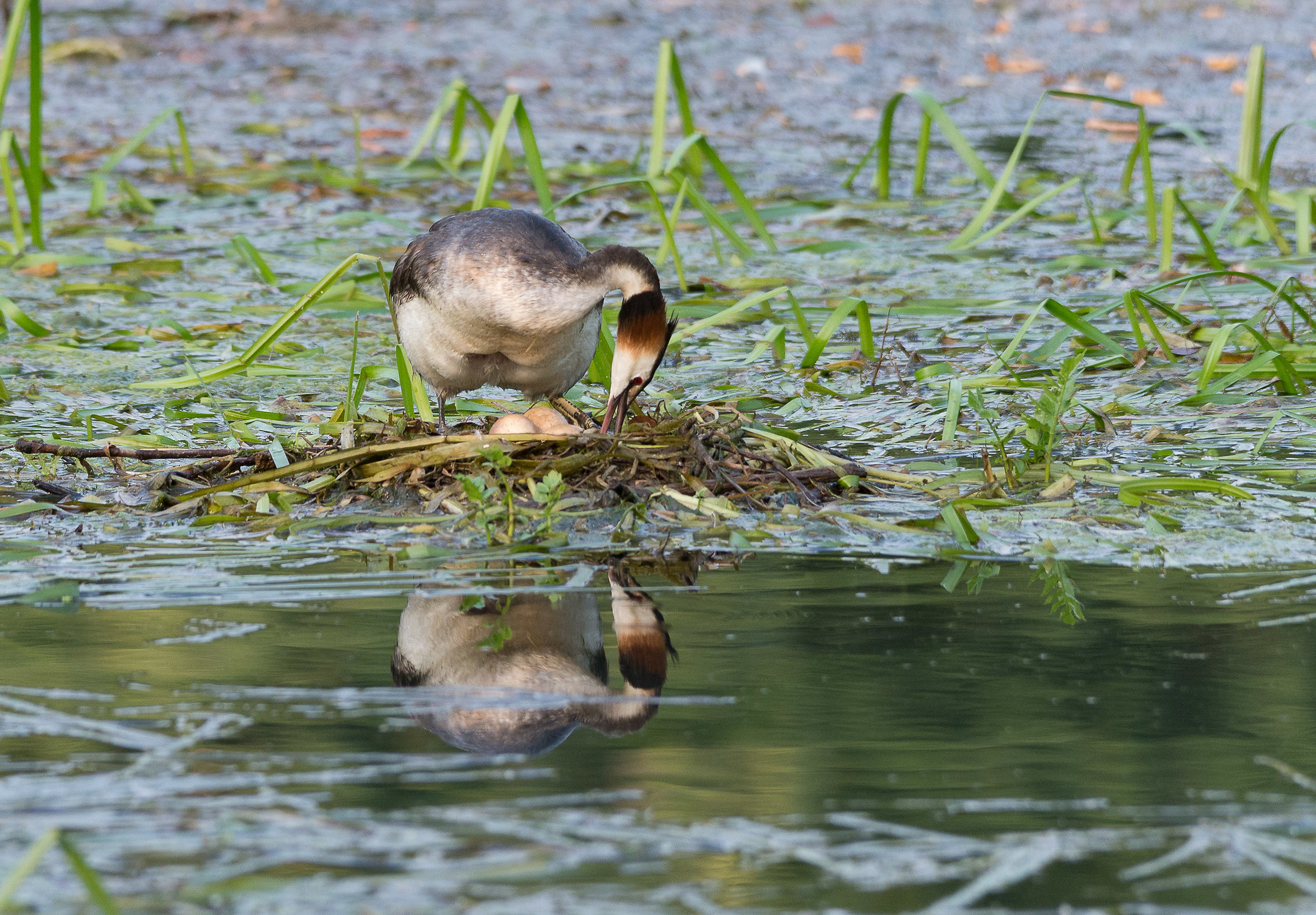 River Sile locations casere