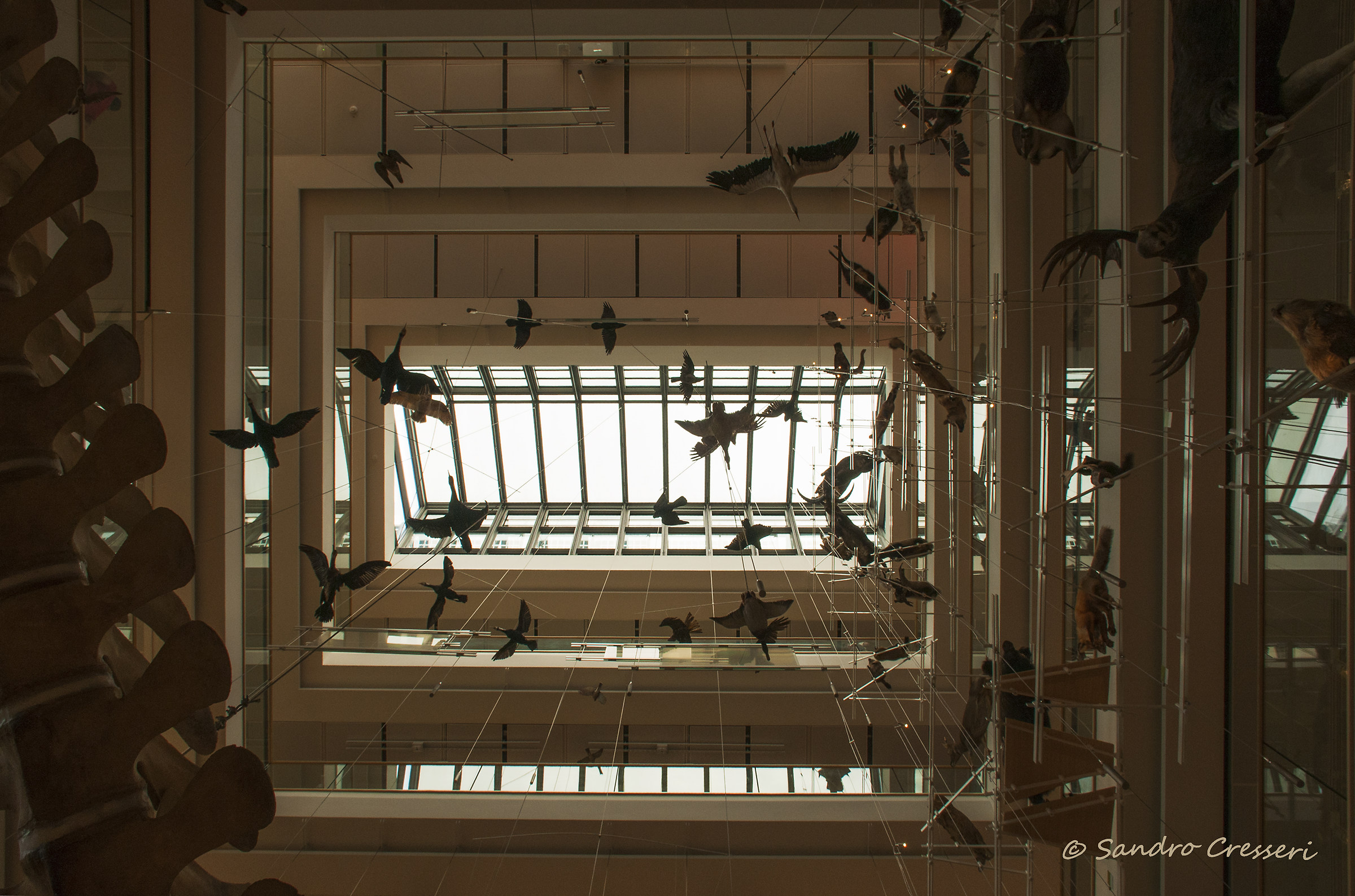 The Muse with the nose