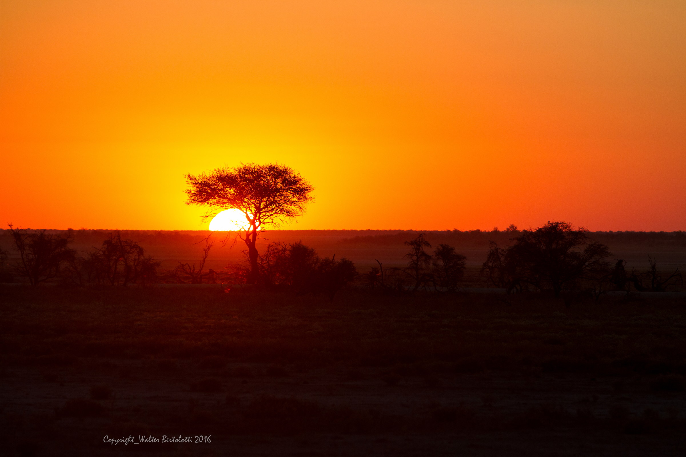 sunset in Etosha