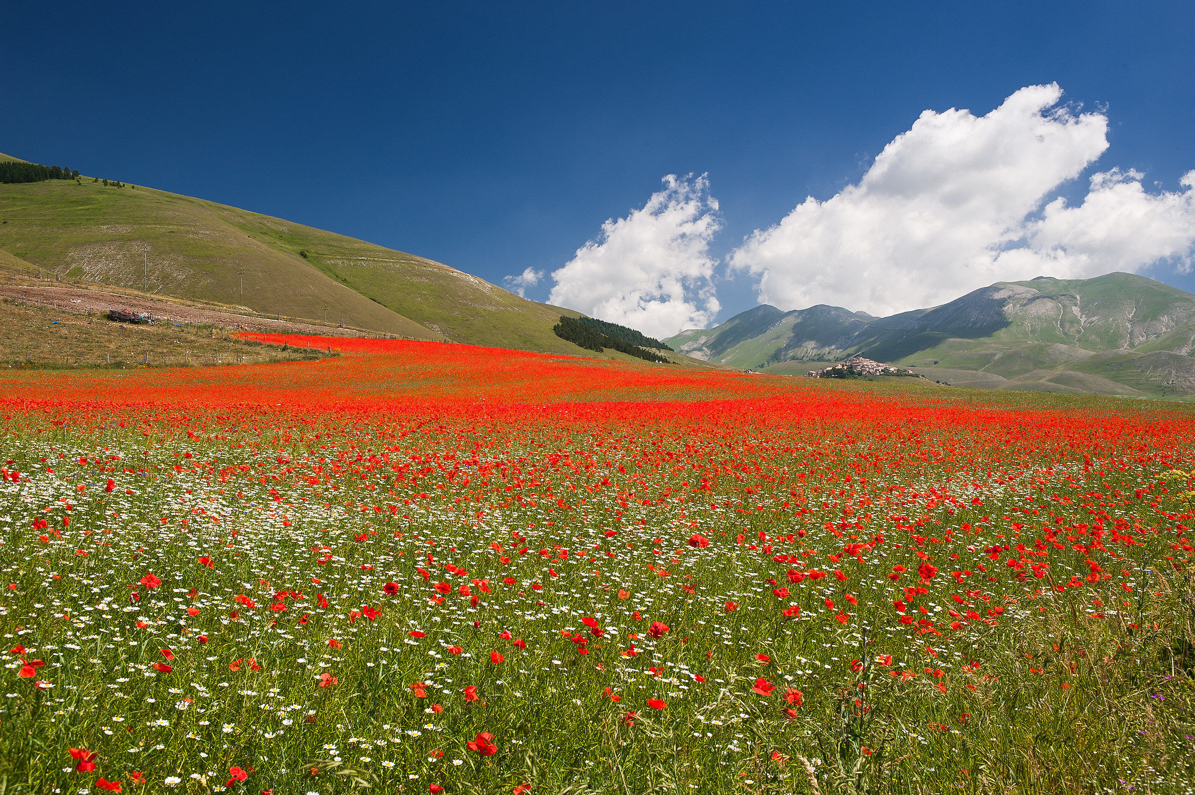 Castelluccio di Norcia (pg)