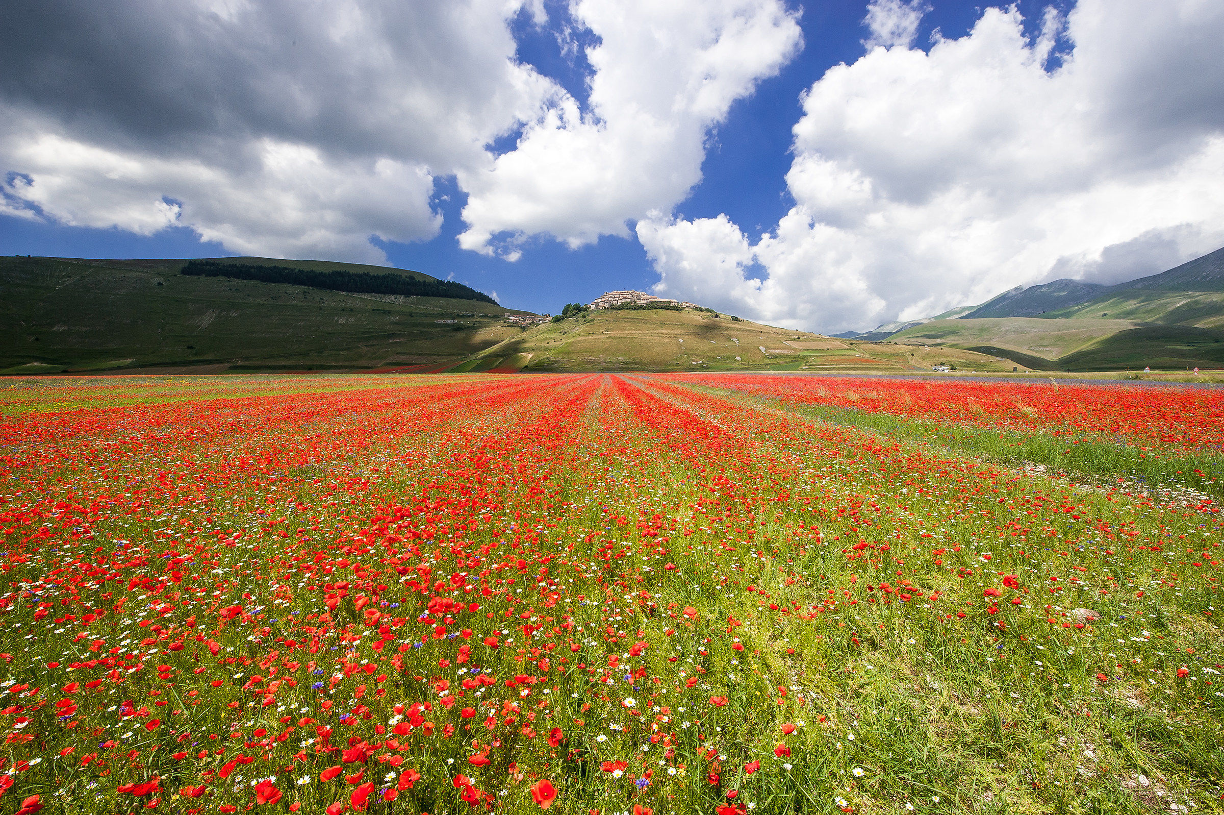 Castelluccio di Norcia (pg)