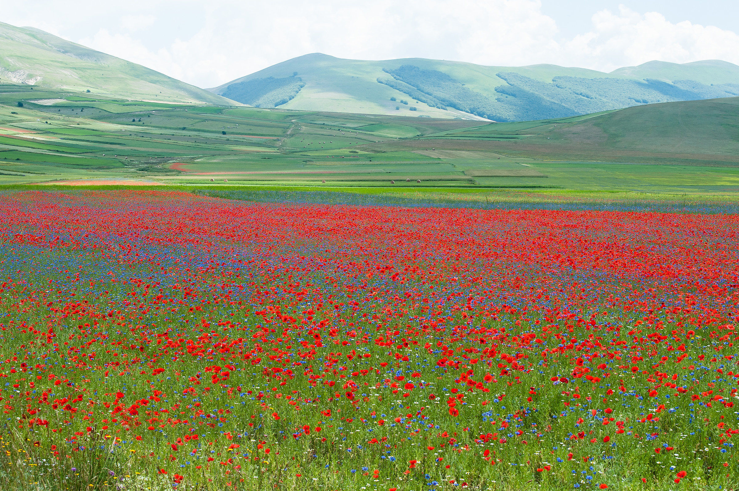 Castelluccio di Norcia (pg)