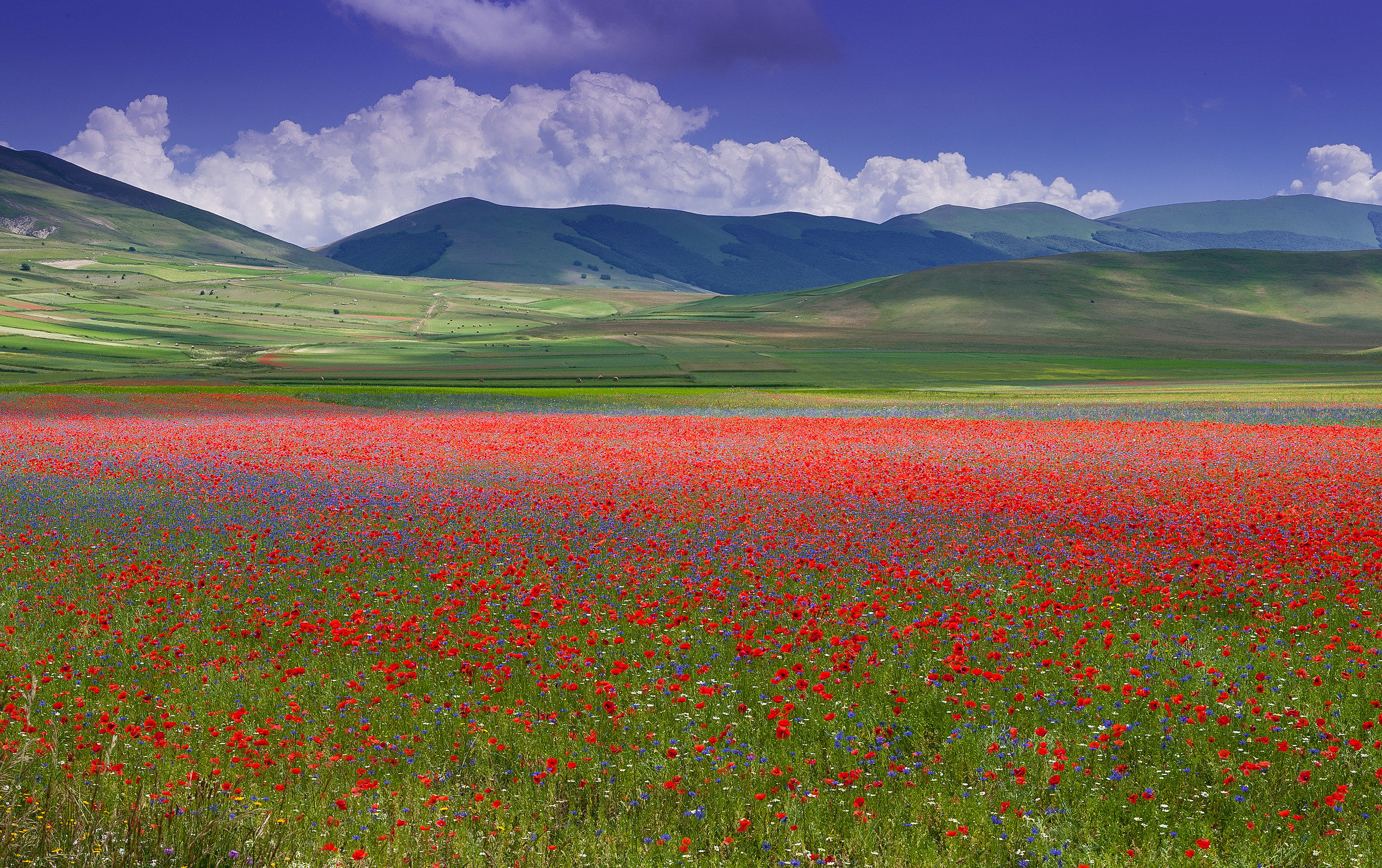 Castelluccio di Norcia (pg)