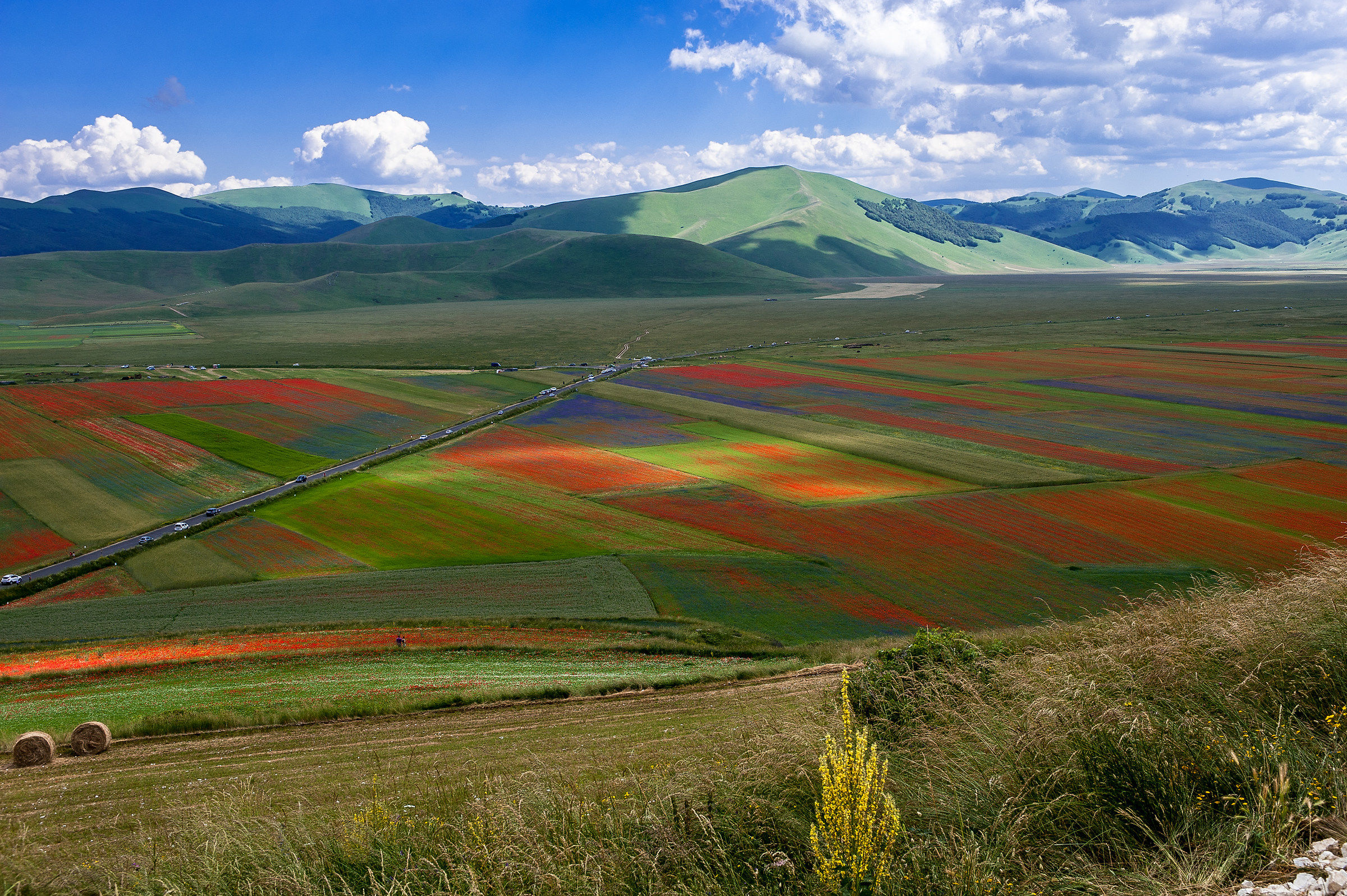 Castelluccio di Norcia (pg)