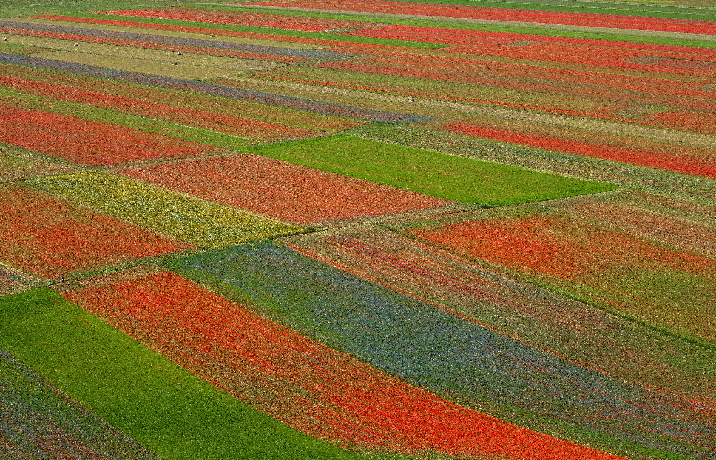 Castelluccio di Norcia (pg)