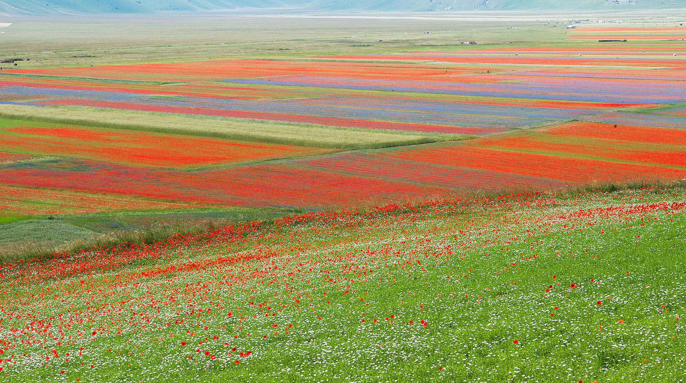 Castelluccio di Norcia (pg)