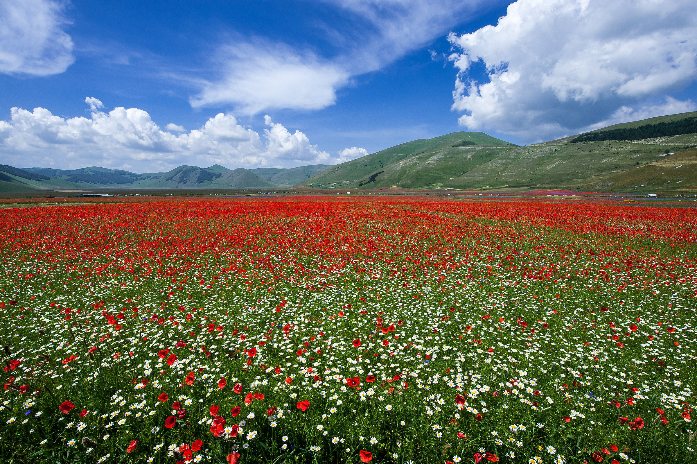 Castelluccio di Norcia (pg)