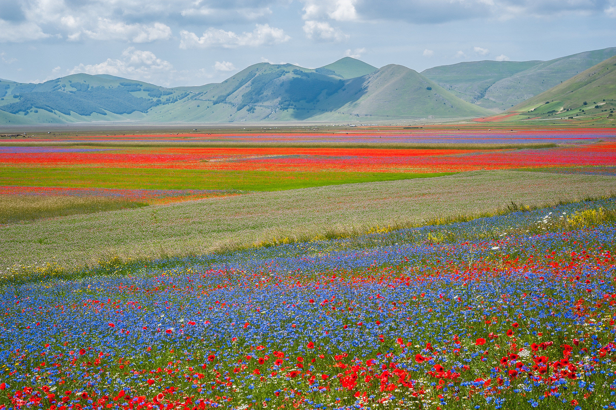 Castelluccio di Norcia (pg)