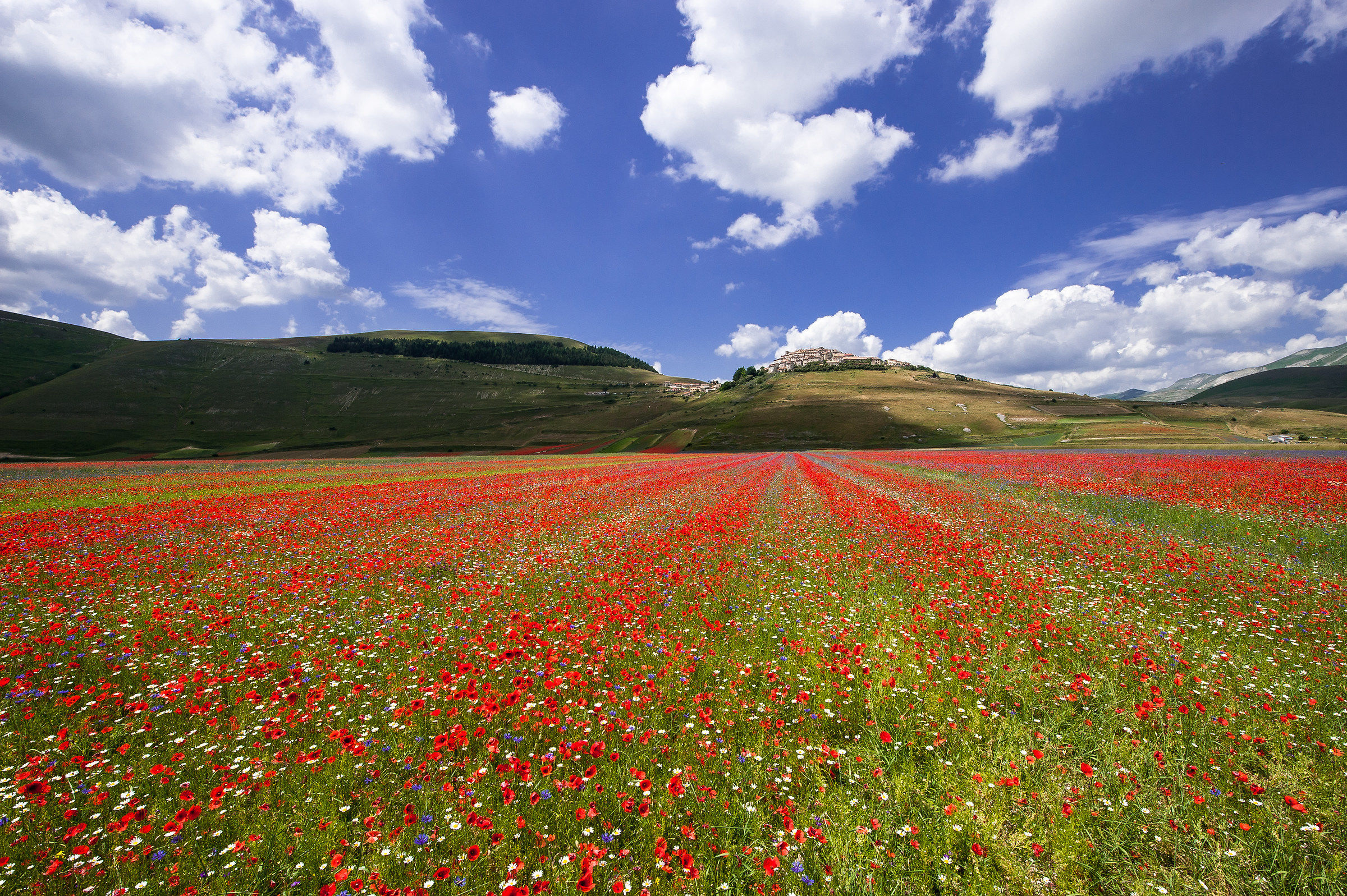 Castelluccio di Norcia (pg)