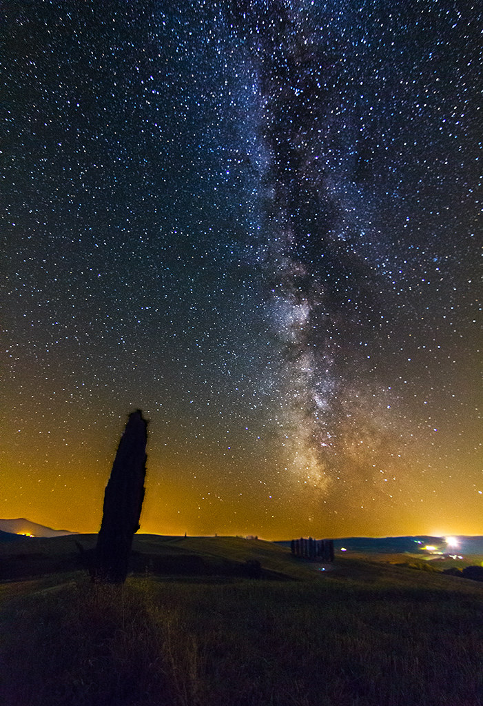 the way to the cypresses