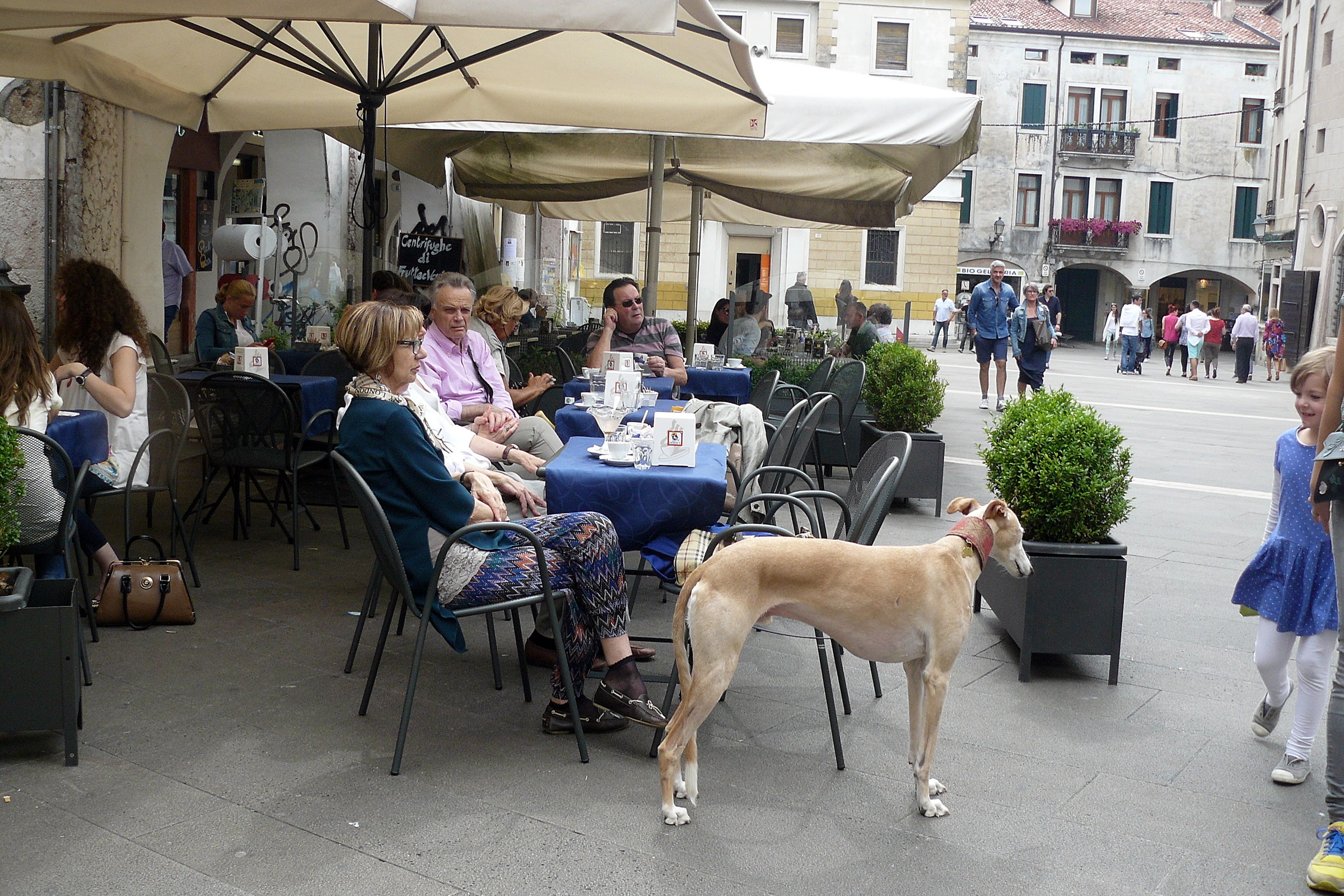 Gita photos in Vicenza and Bassano del Grappa