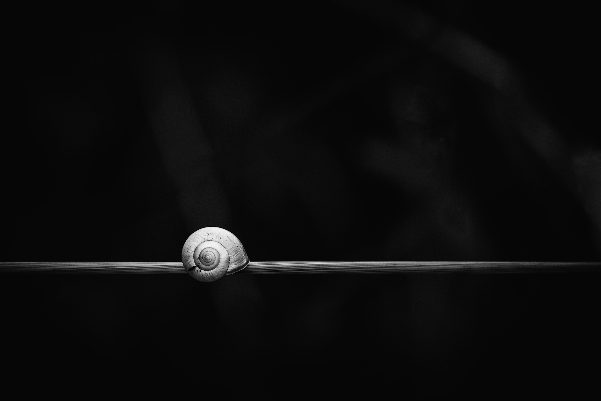 The road is long......