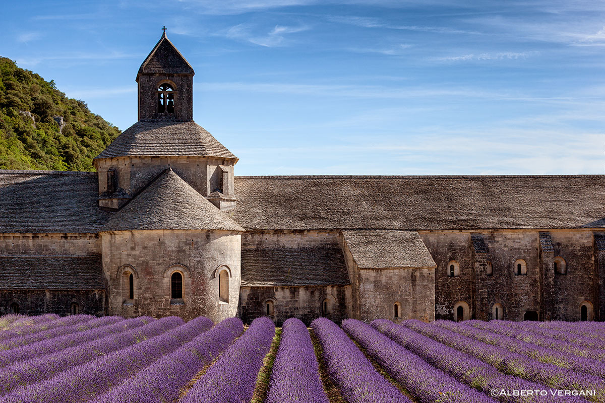 Abbey Sénanque