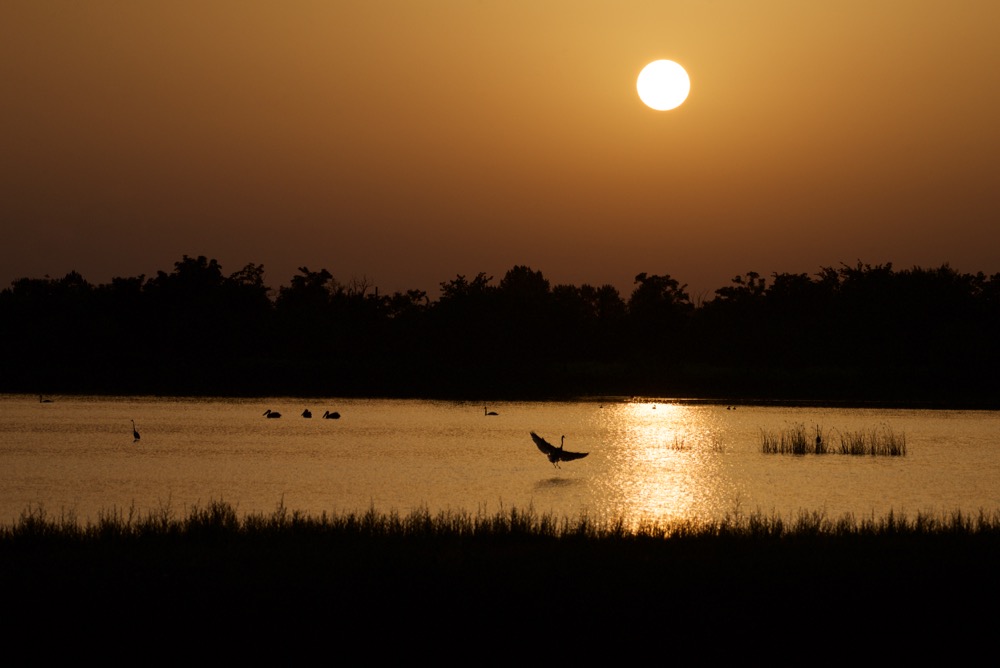 Ritorno in laguna al tramonto