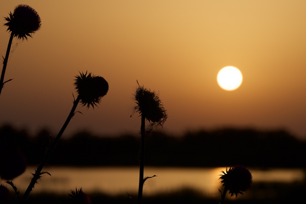 Ultimi raggi di sole