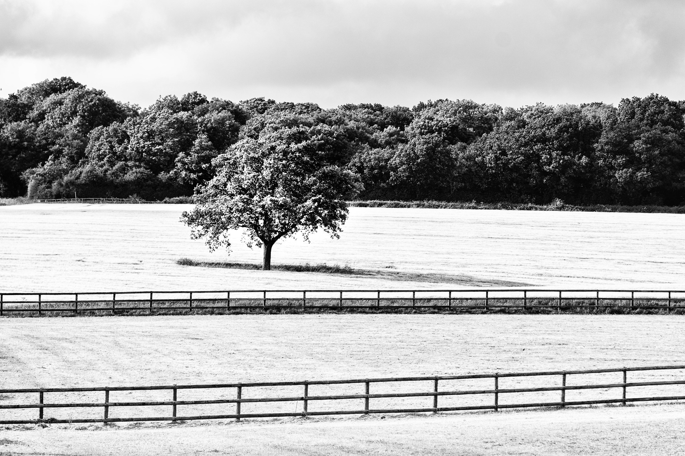 There are always hurdles to cross......