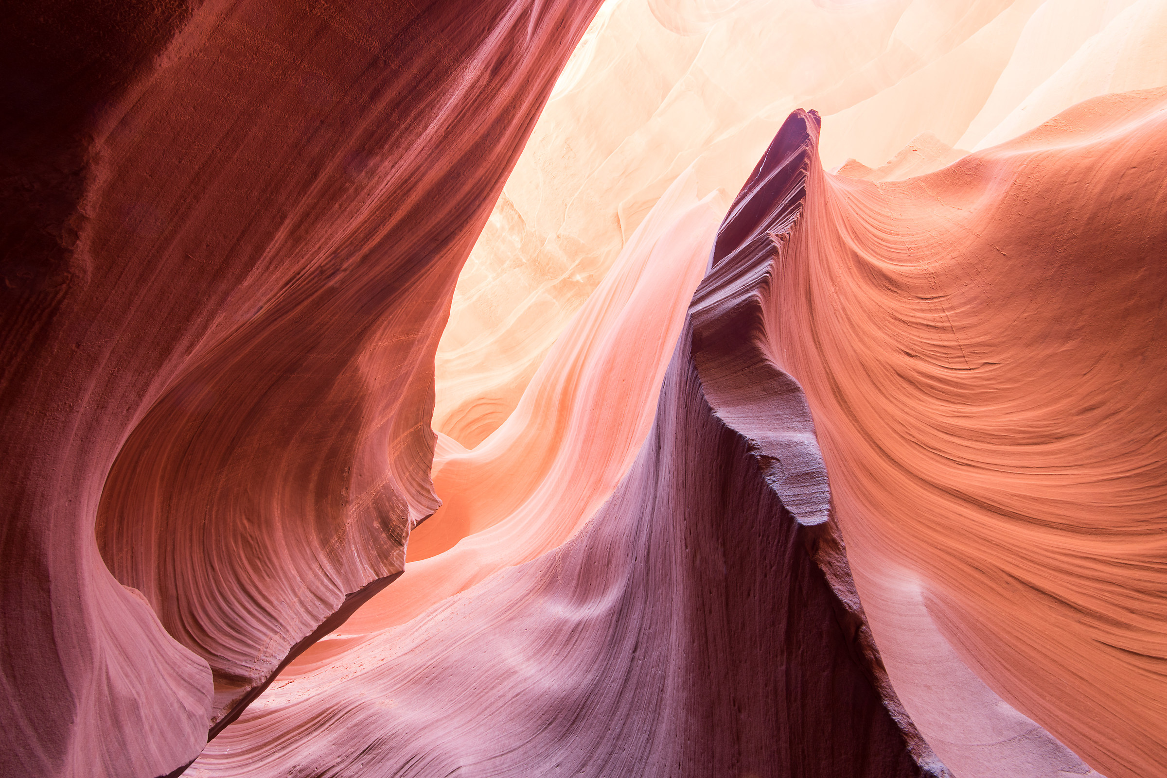 "The Magic Antelope".