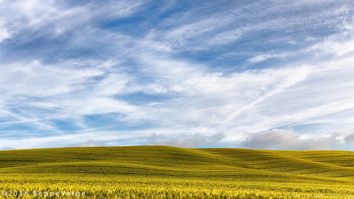 Toscana capricciosa e ben educata