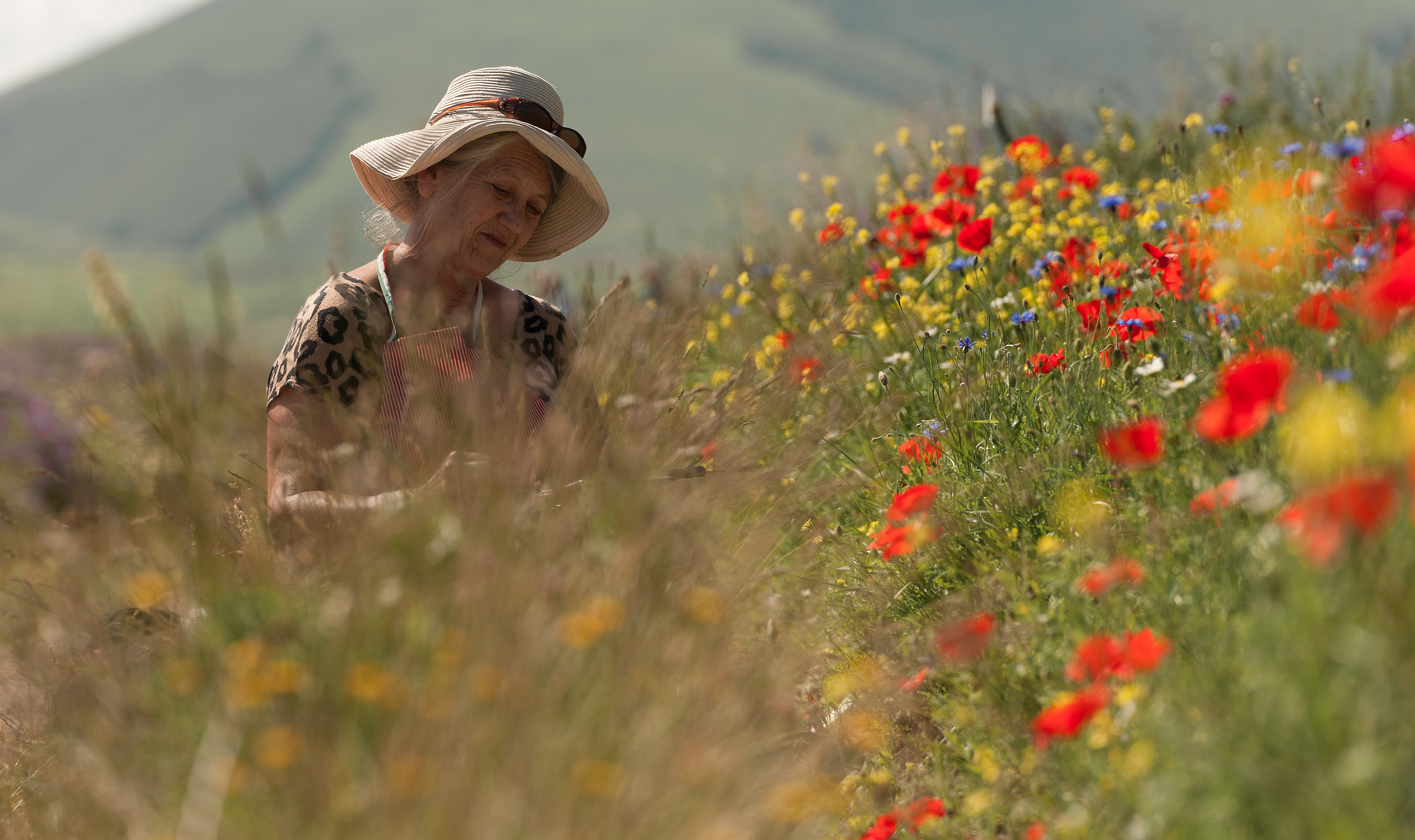 The painter of flowers