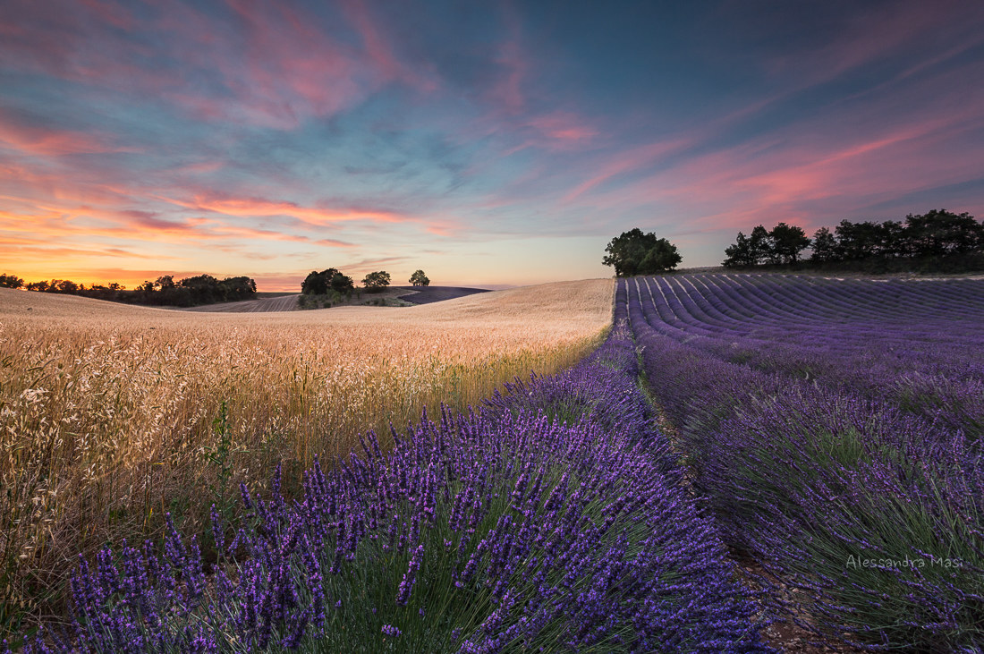Tramonto in Provenza