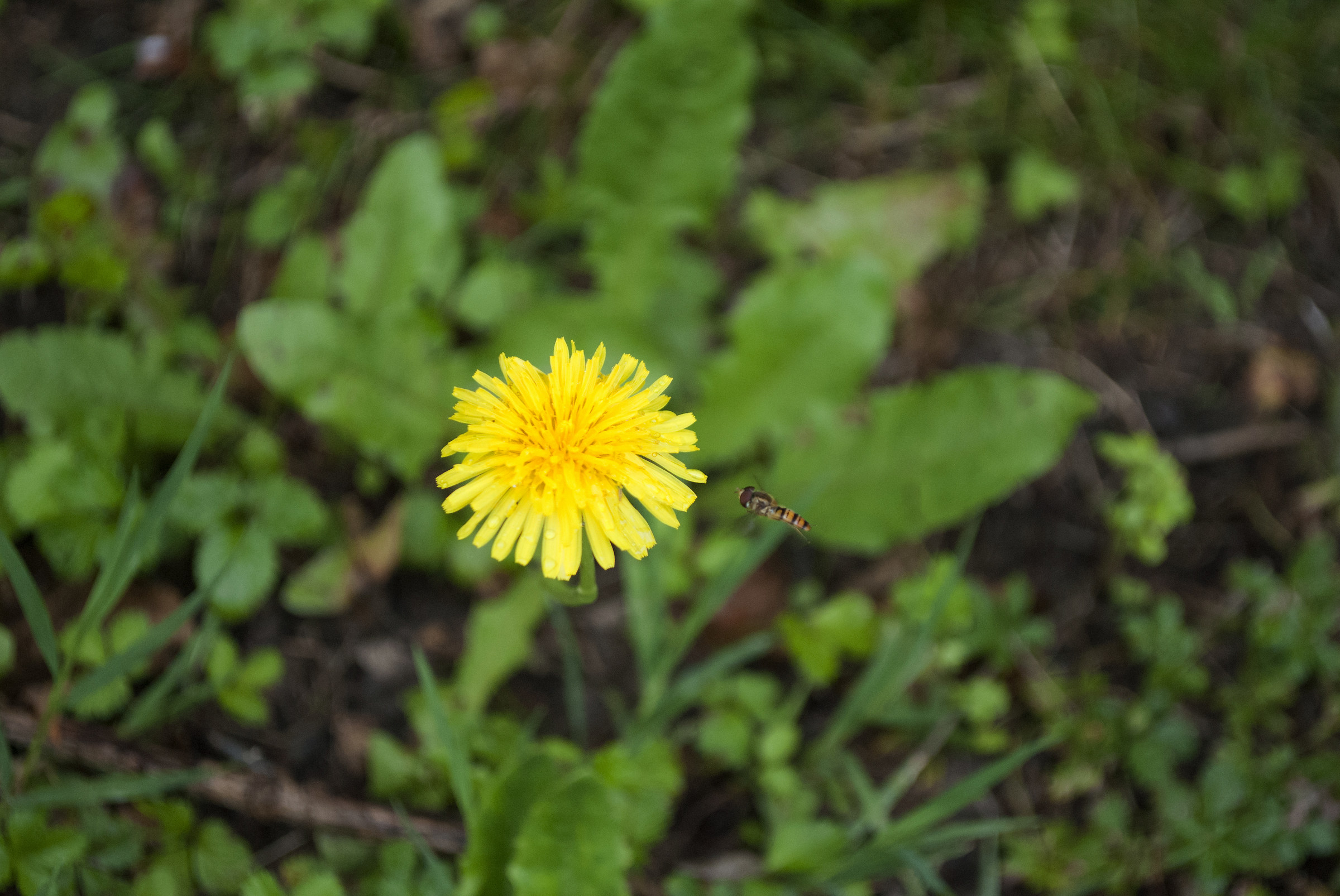 Shooting at the right time ...